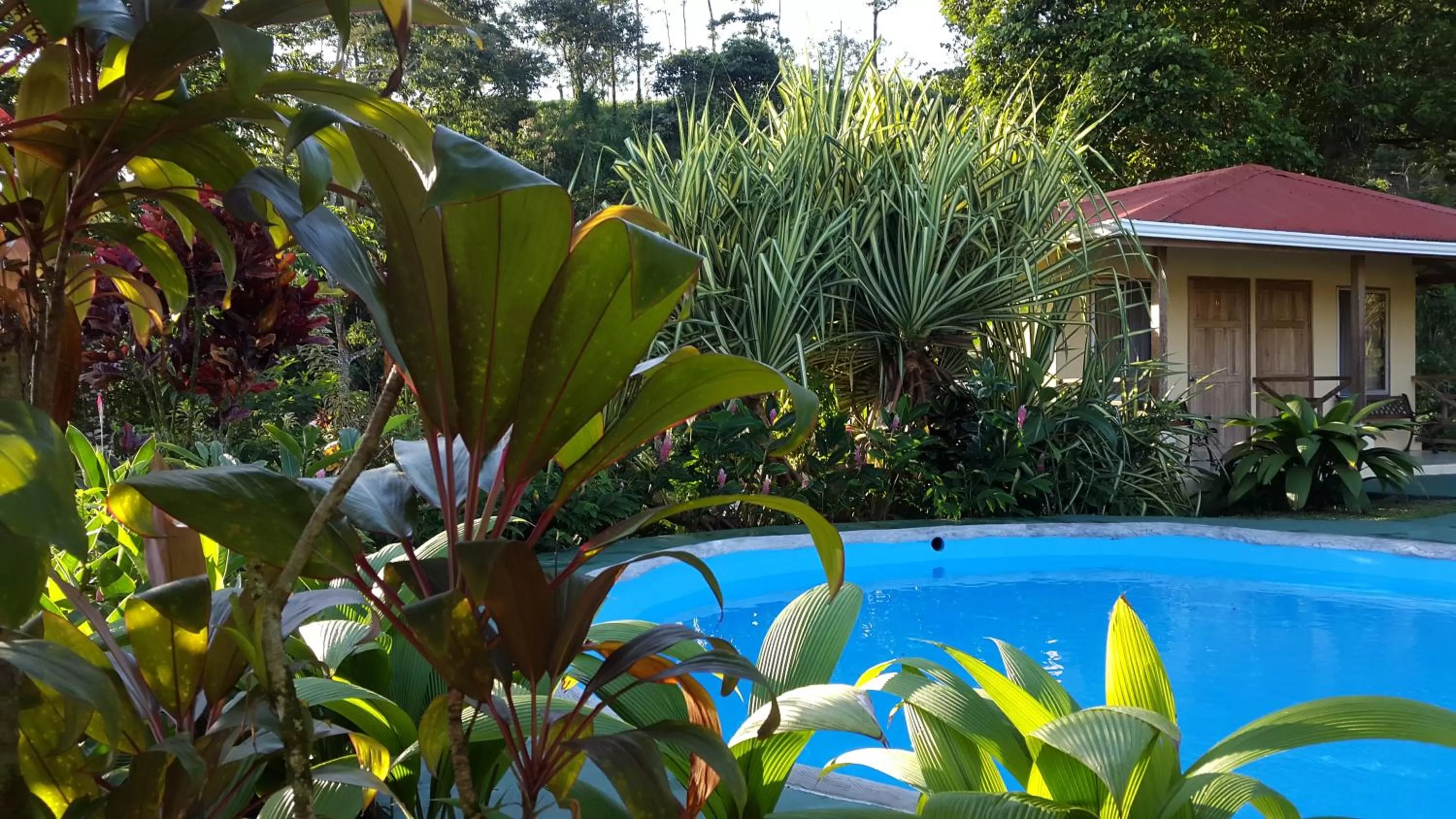 Garden in Loma Real Hot Springs Bed & Breakfast