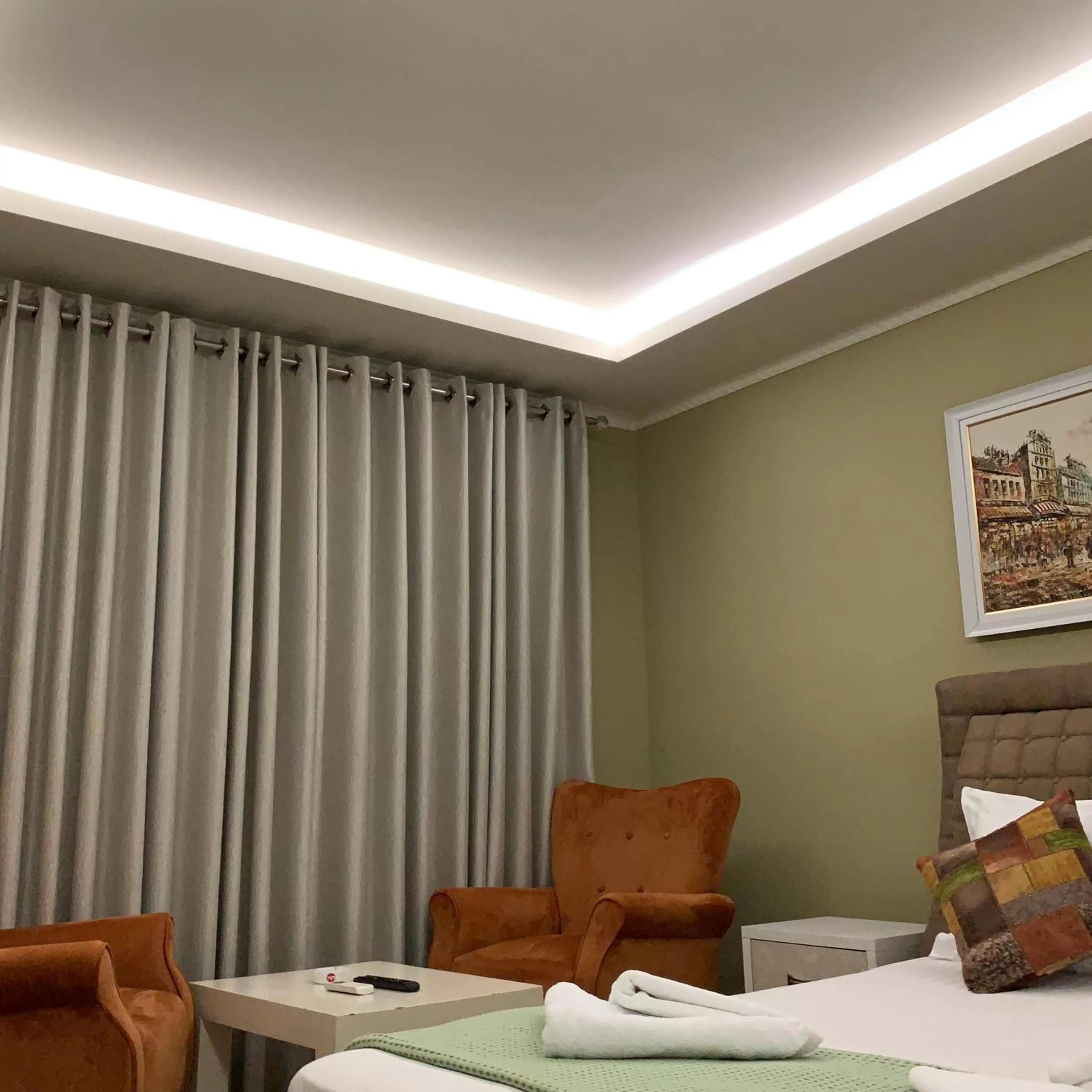 Seating Area in Vila Park Hotel 1