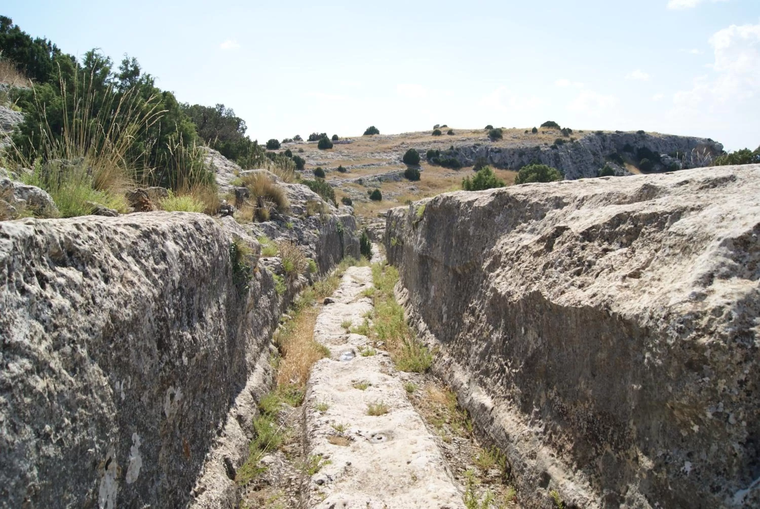 Activities in Finca El Romeral