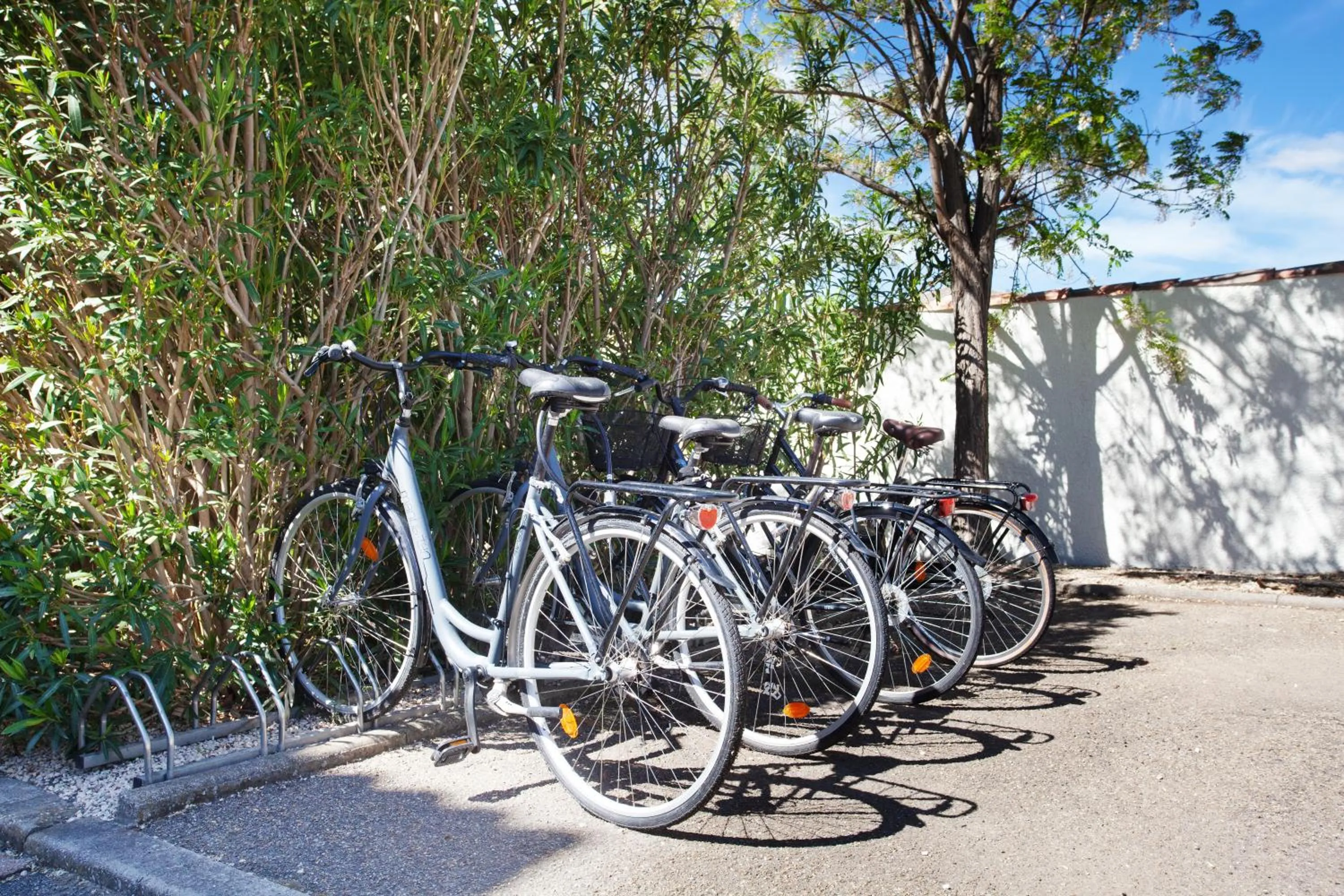 Activities in Logis Hôtel Le Rodin
