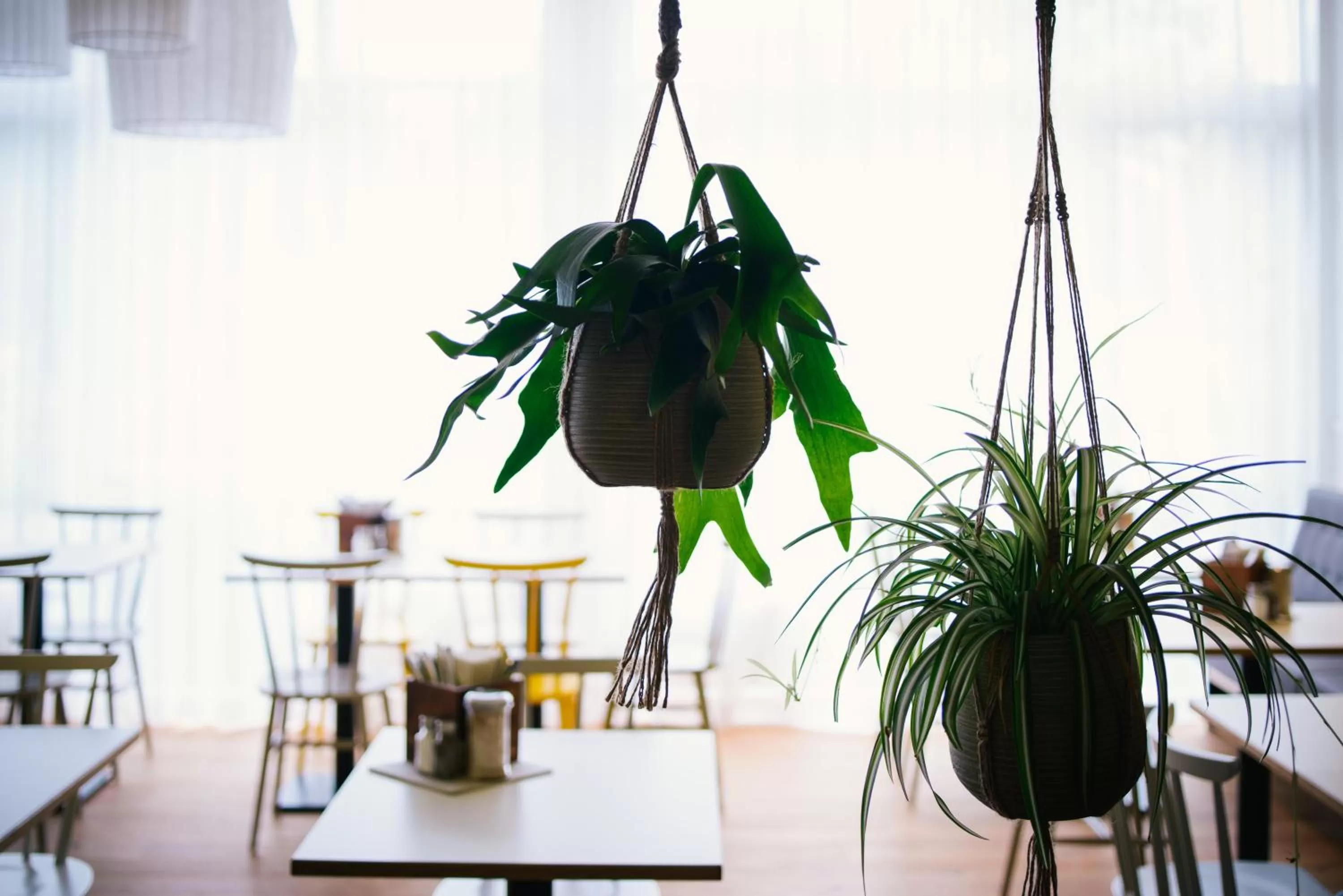 Decorative detail in Vienna House Easy by Wyndham Amberg