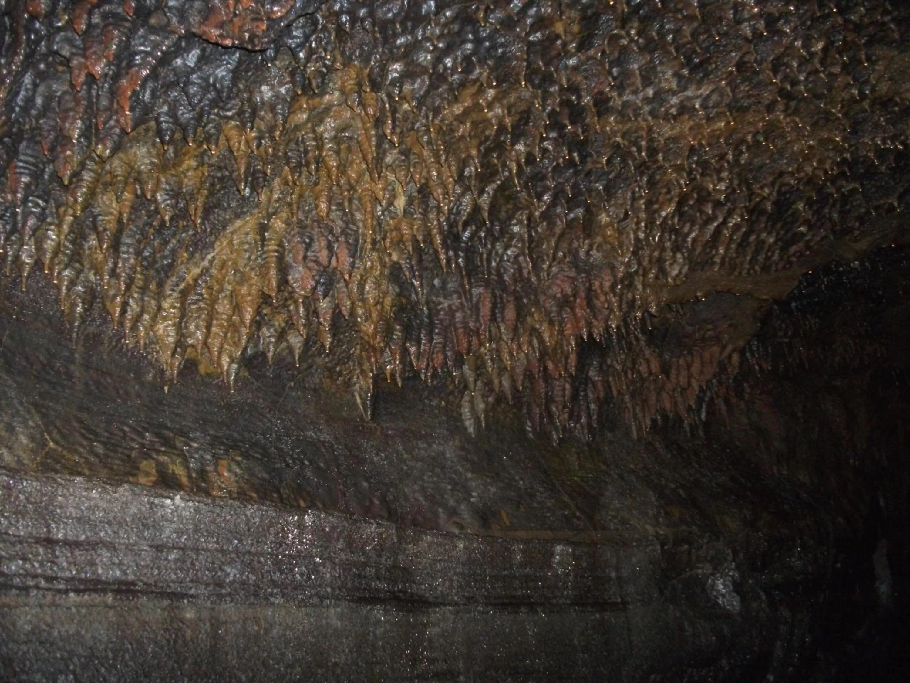 Other in Aloha Crater Lodge