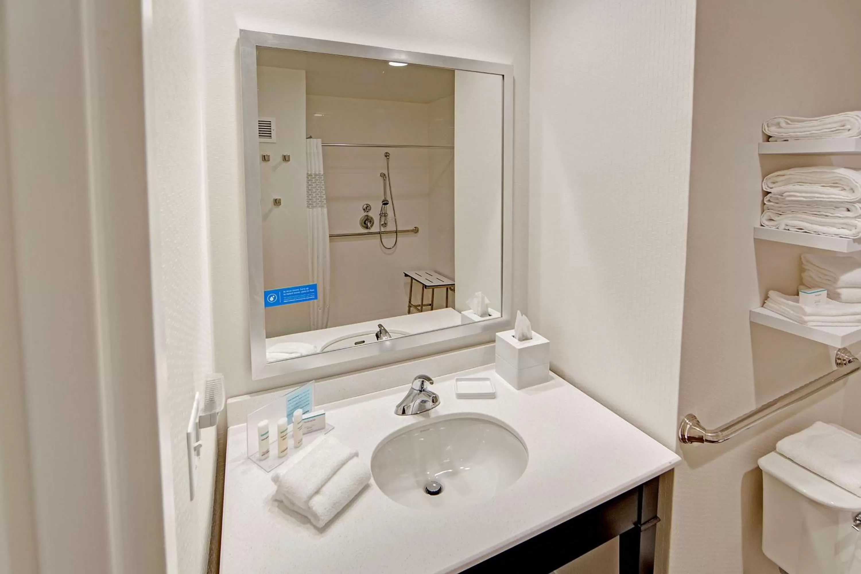 Bathroom in Hampton Inn and Suites Asheville Airport