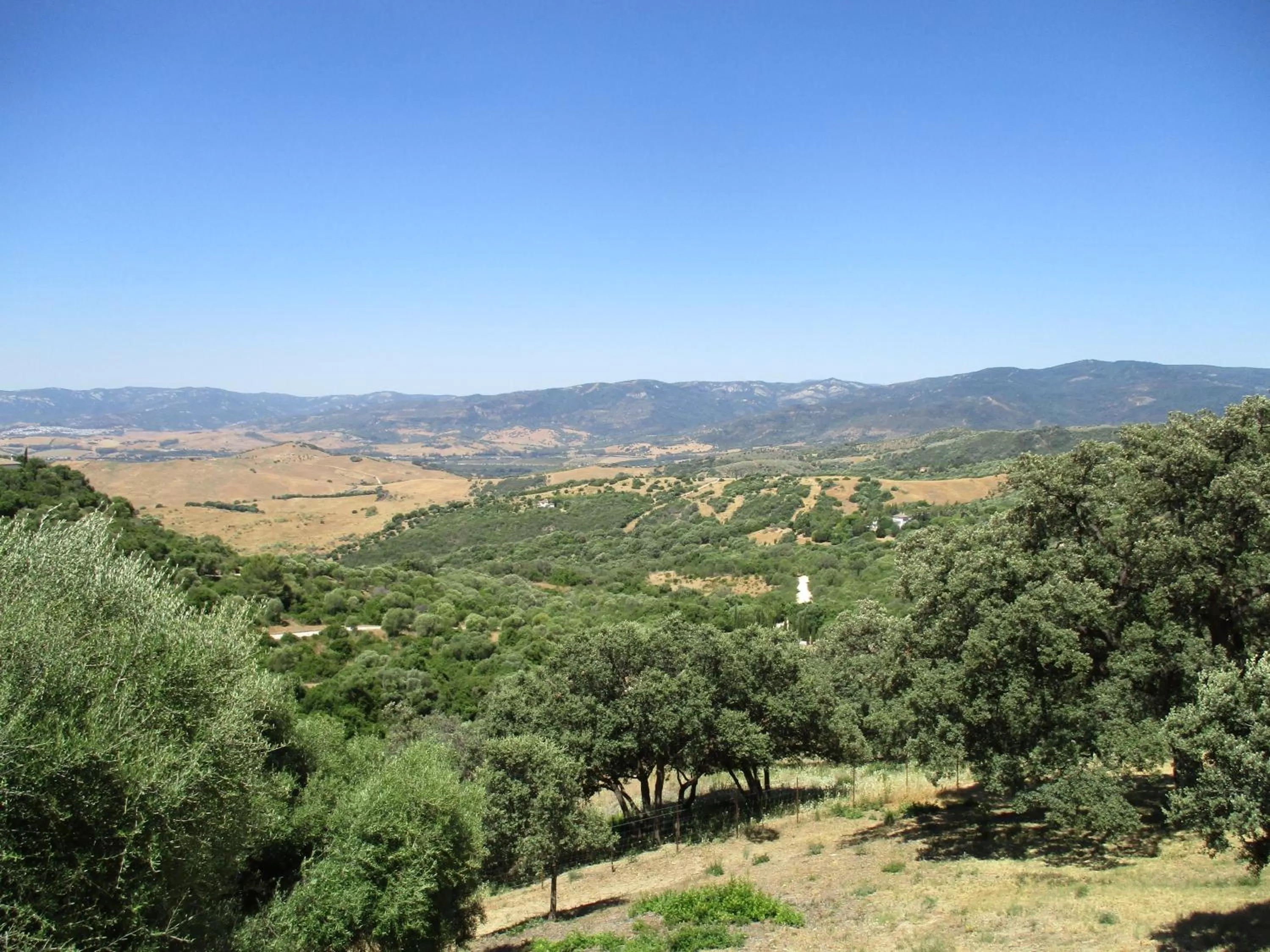 Natural landscape in Casa Laibon