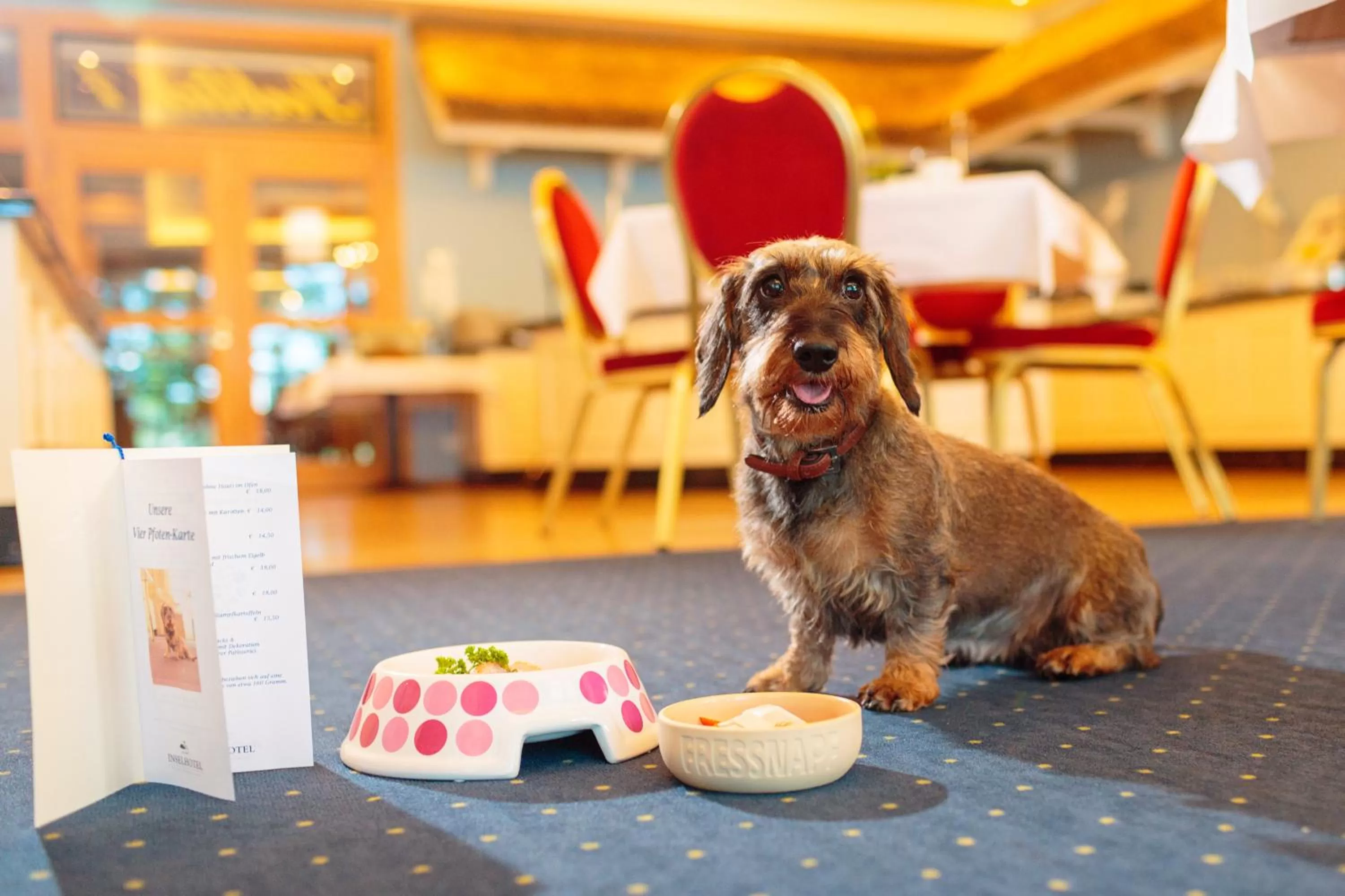 Food and drinks in INSELHOTEL Potsdam