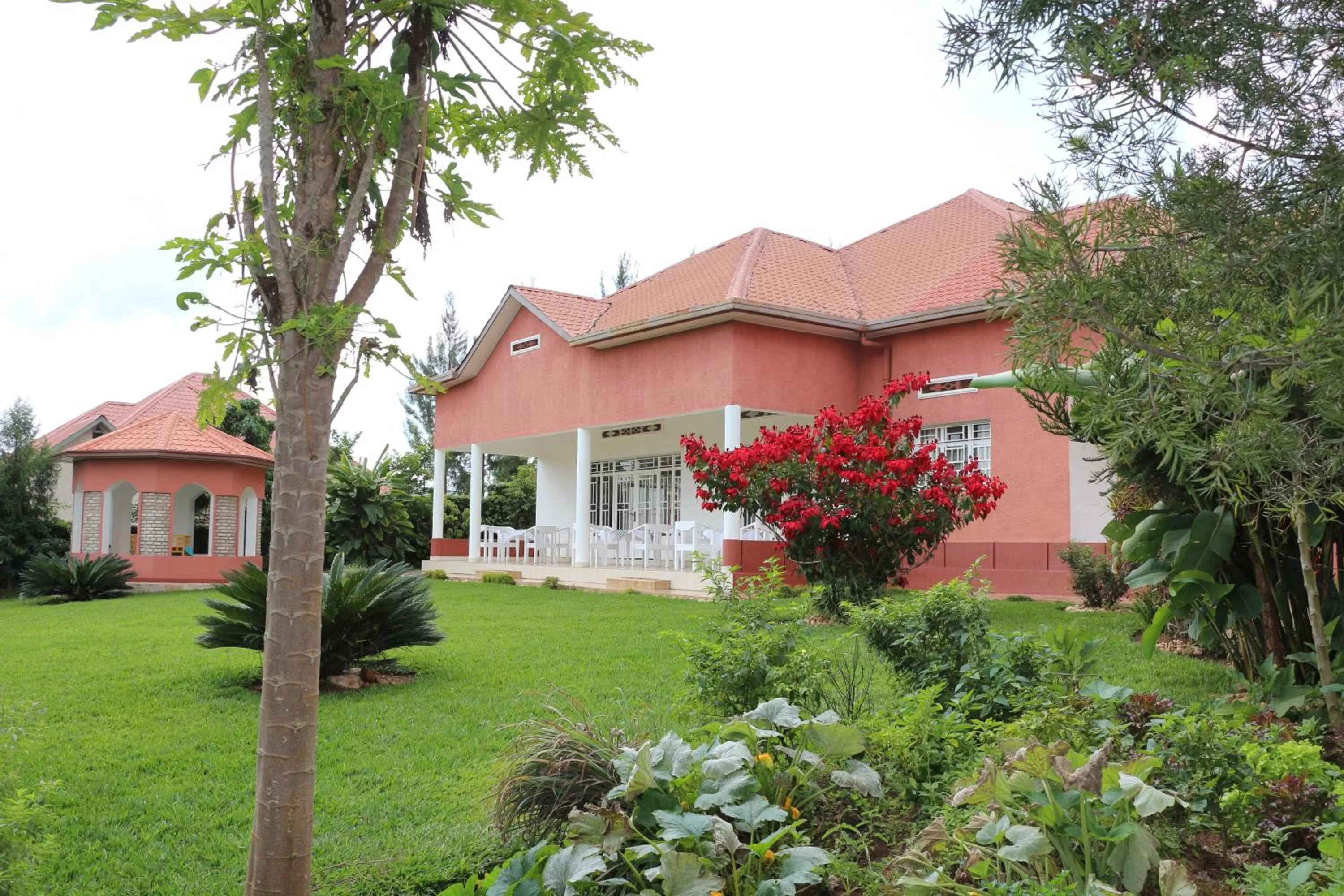 Garden in Hôtel Maisons-Sifa