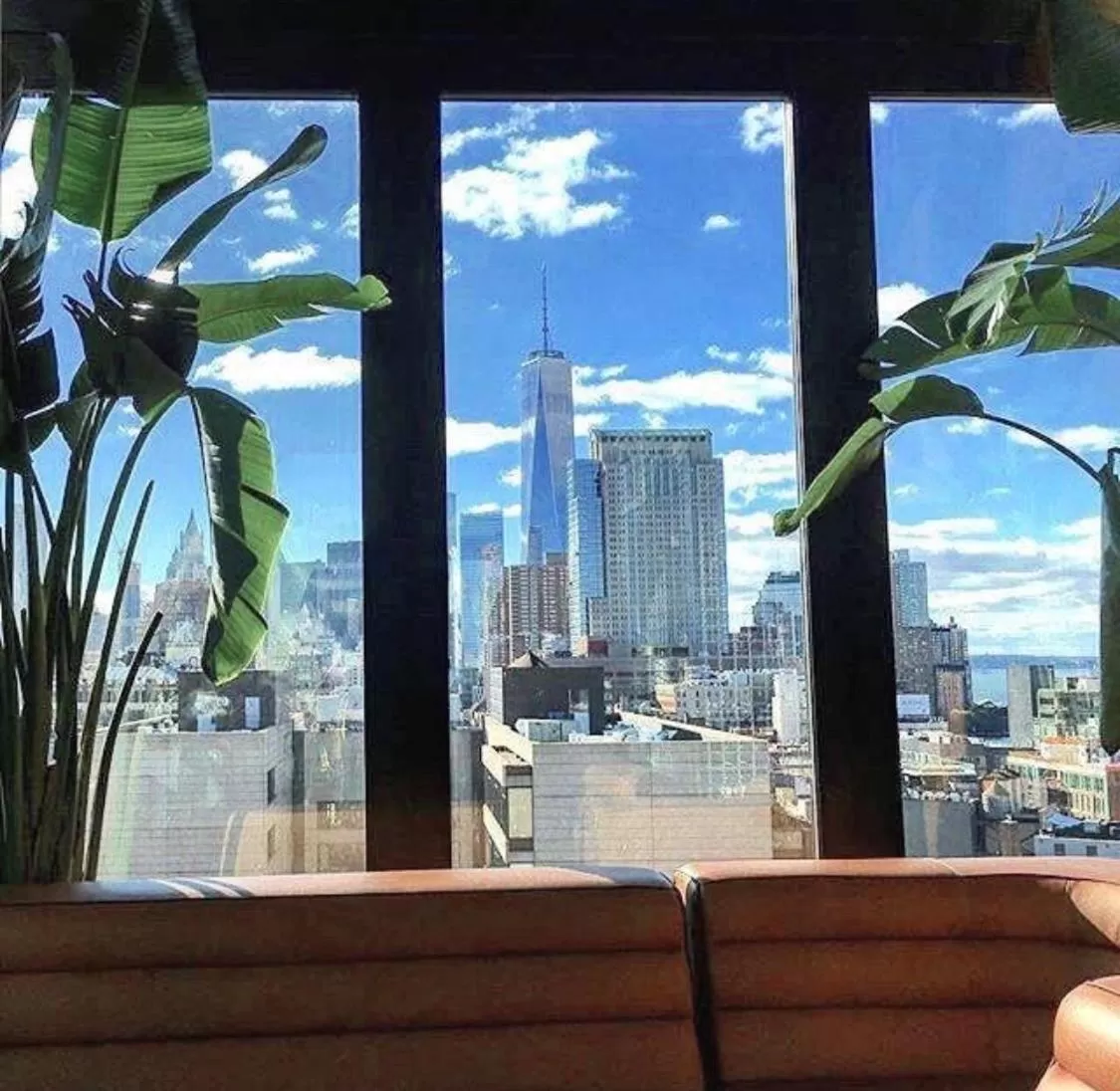 Summer in Hotel Hugo