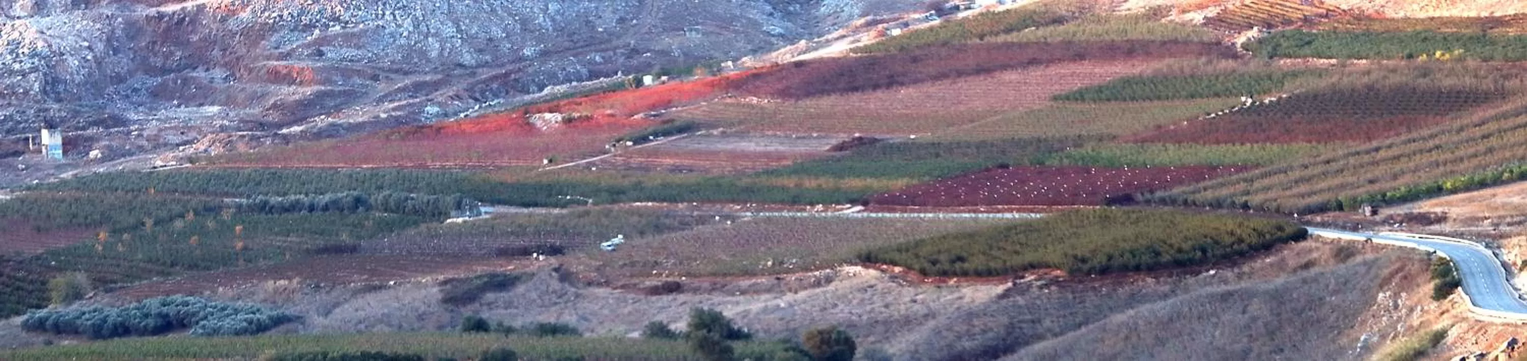 Suite - single occupancy in HaBaronit