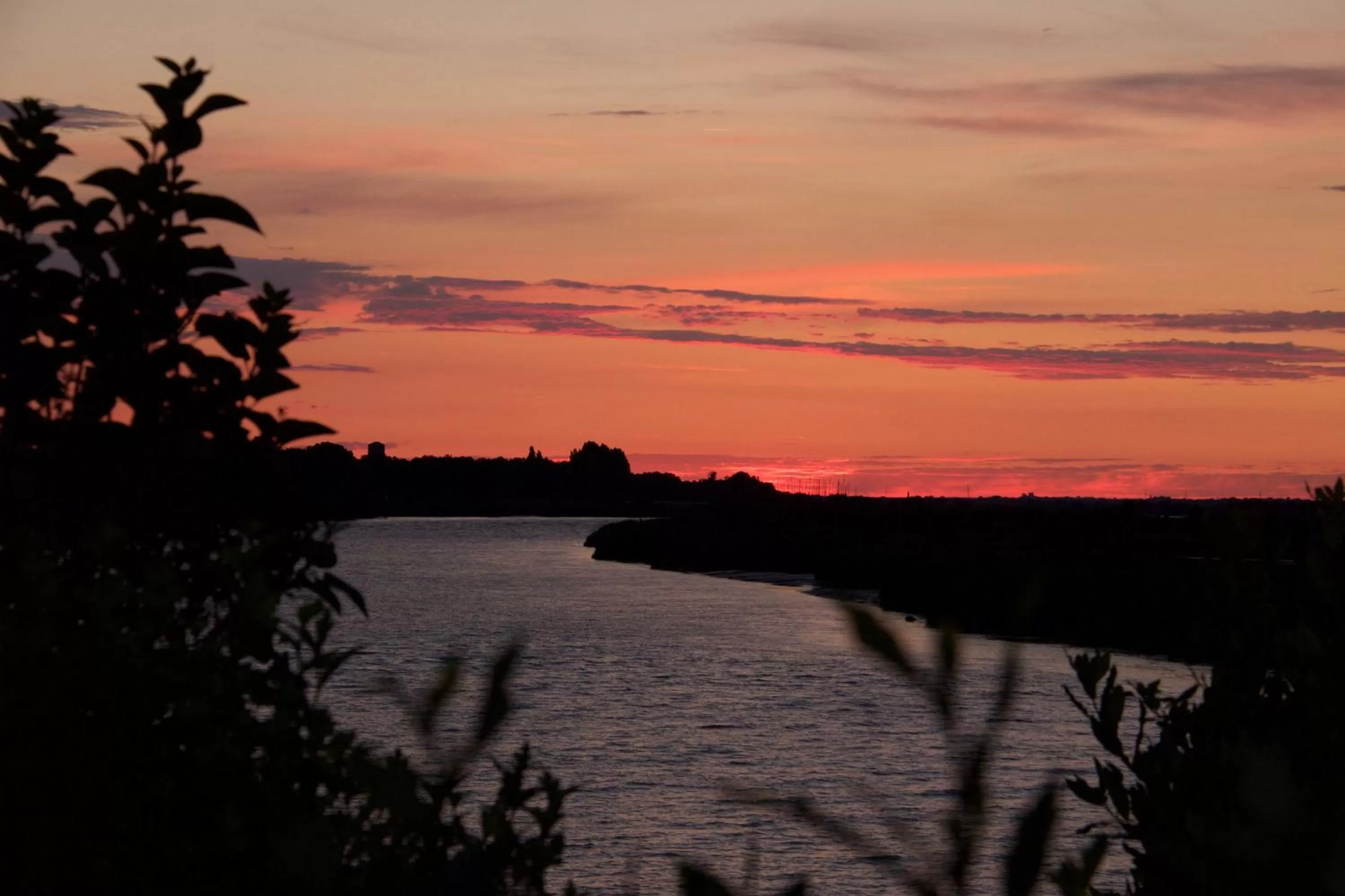 View (from property/room) in La Charentine