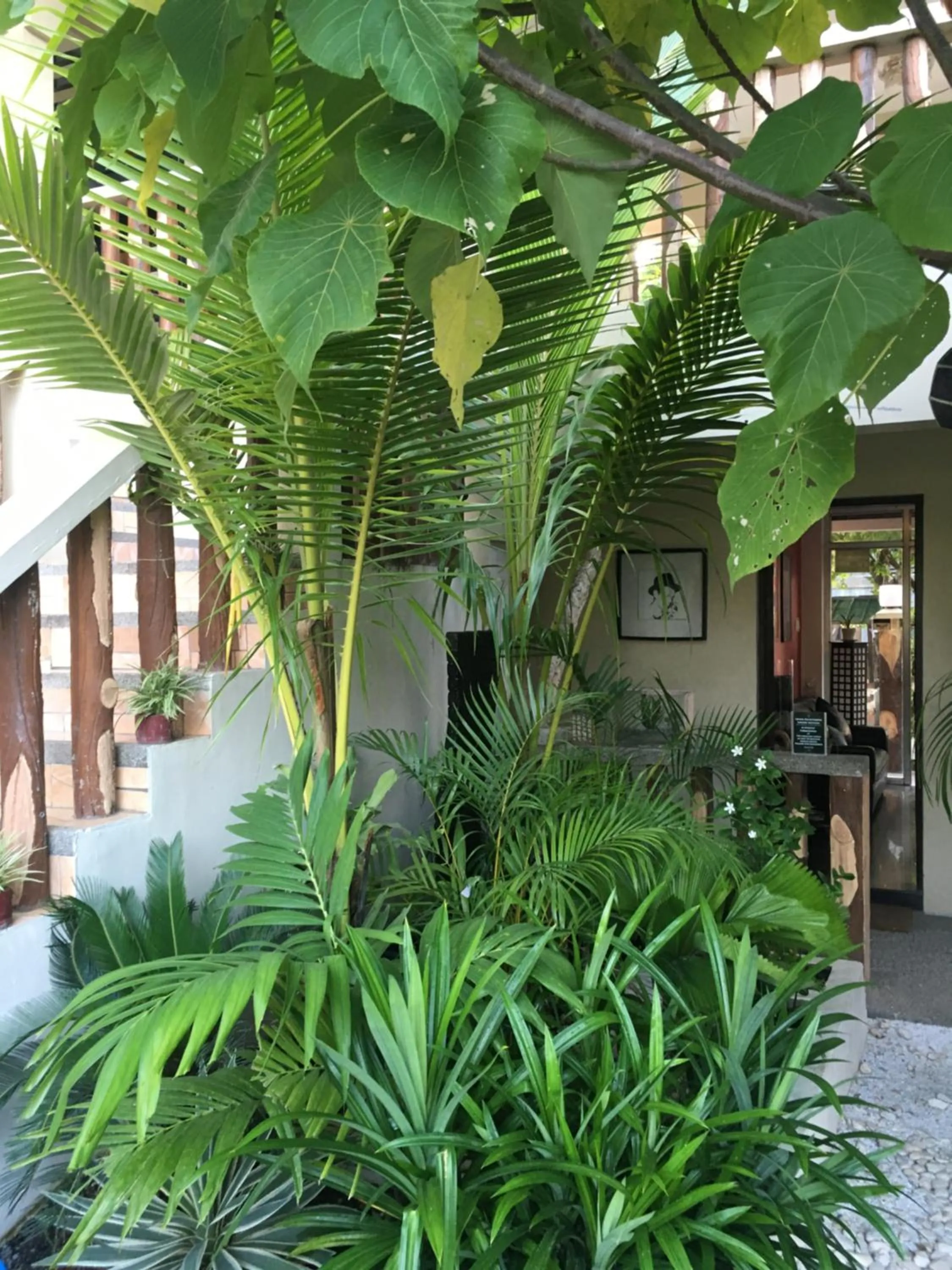 Day in Stardust Beach Hotel