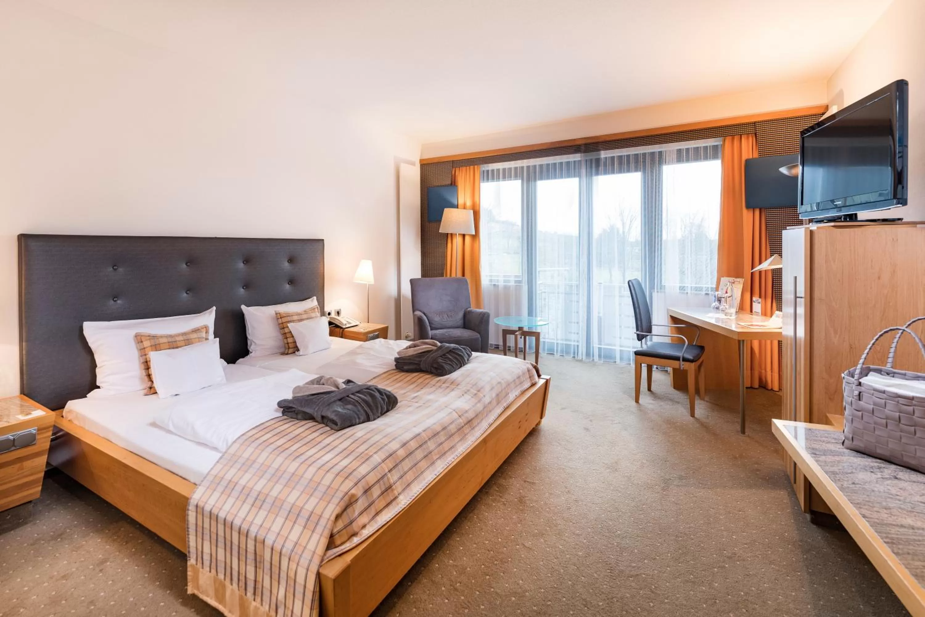 Double Room in Göbels Schlosshotel "Prinz von Hessen"