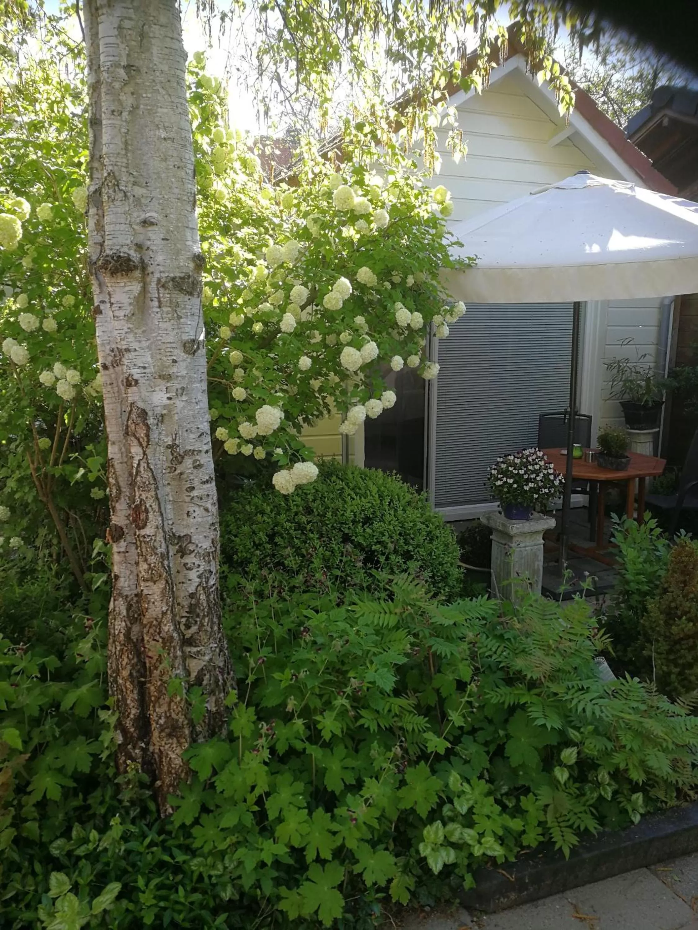 Garden in Maizon Middelburg