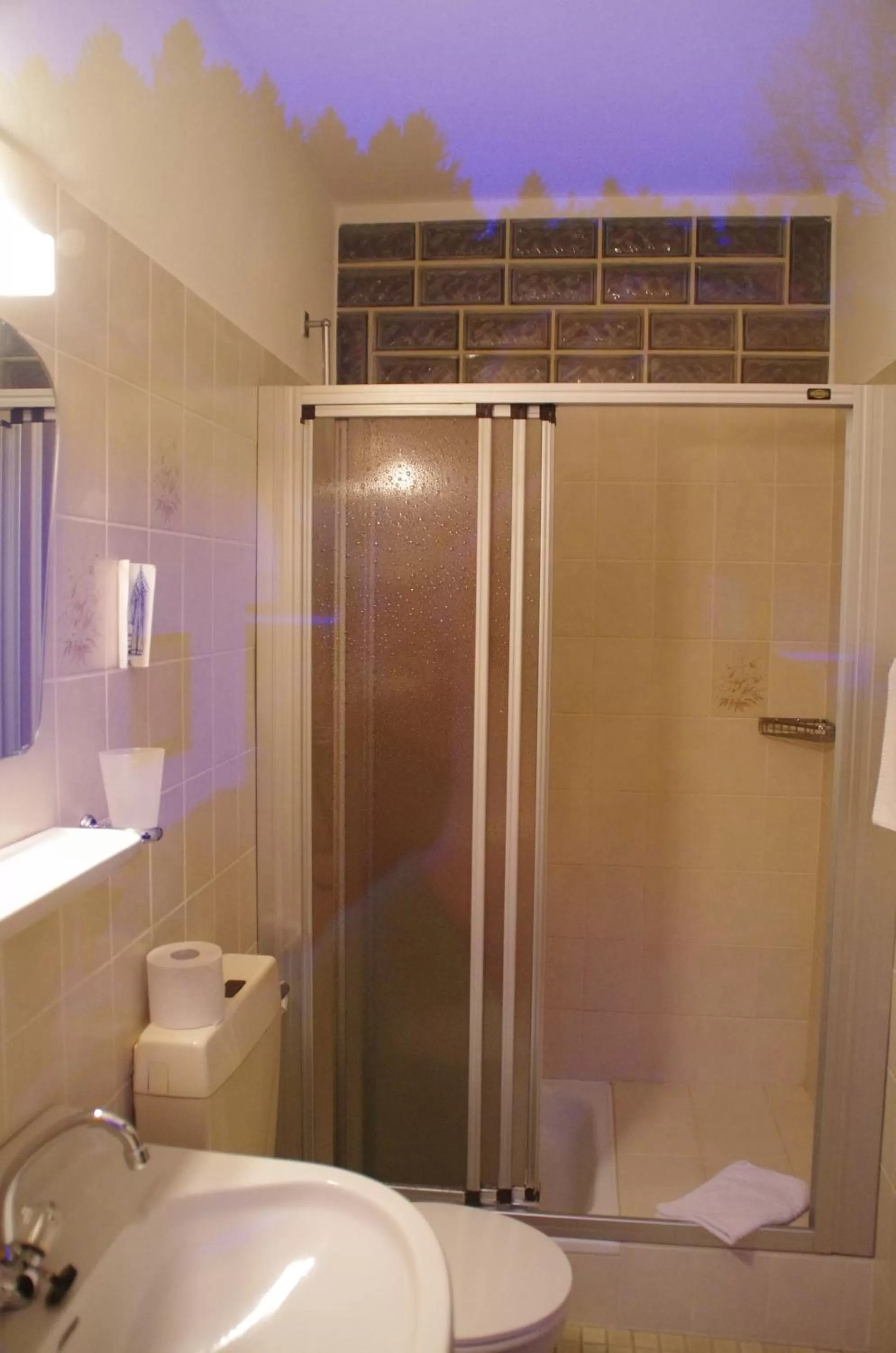 Shower in Hotel Herrenrest