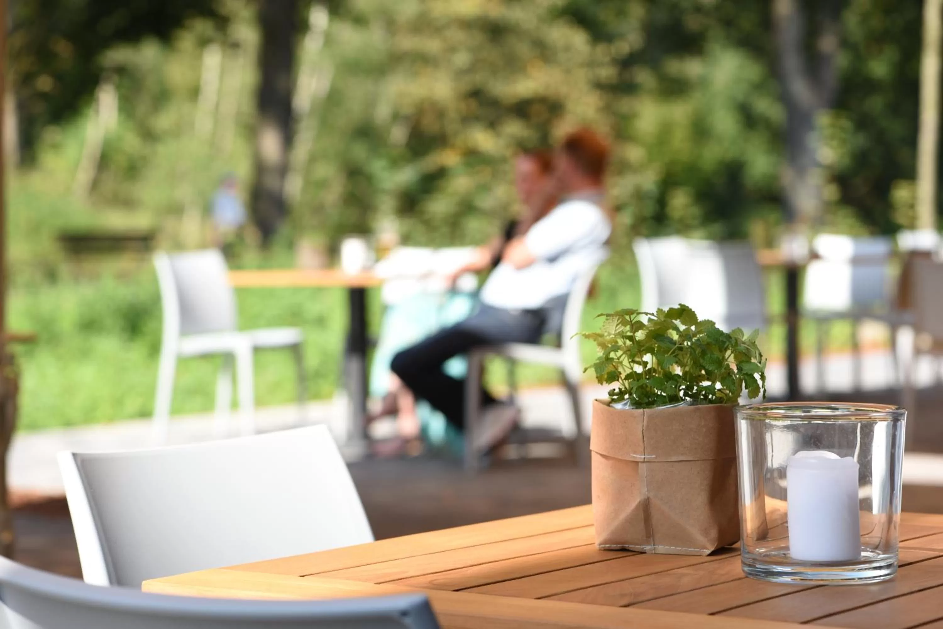 Balcony/Terrace in Steverbett Hotel