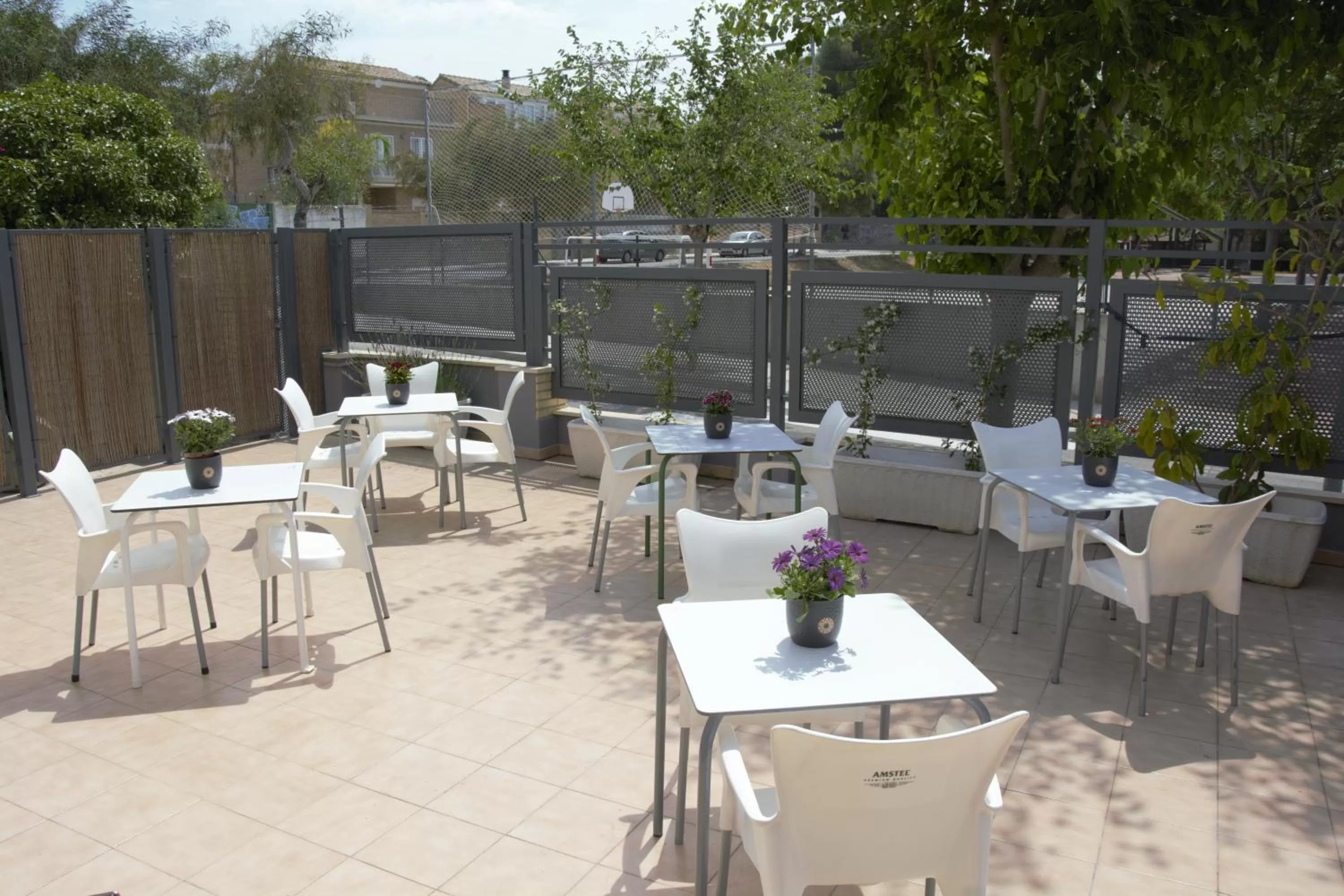 Activities in Hotel Vista al Sol