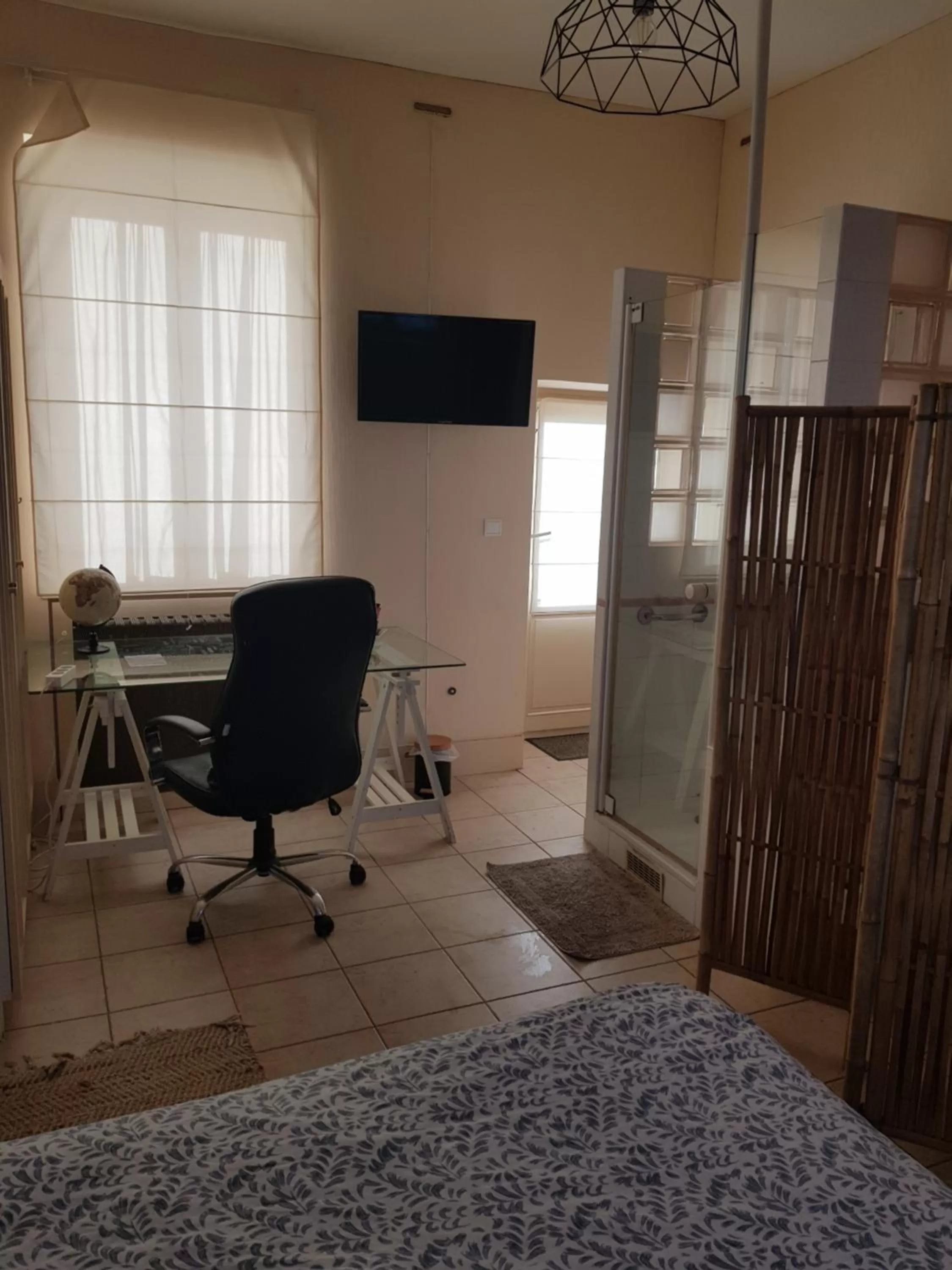 TV and multimedia in la ferme des ruelles