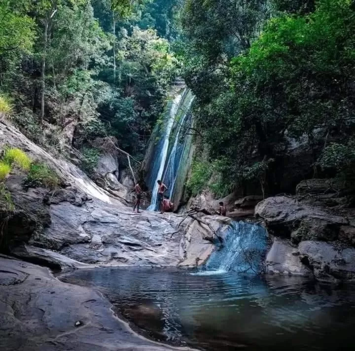 Ella Lucky Panoramic