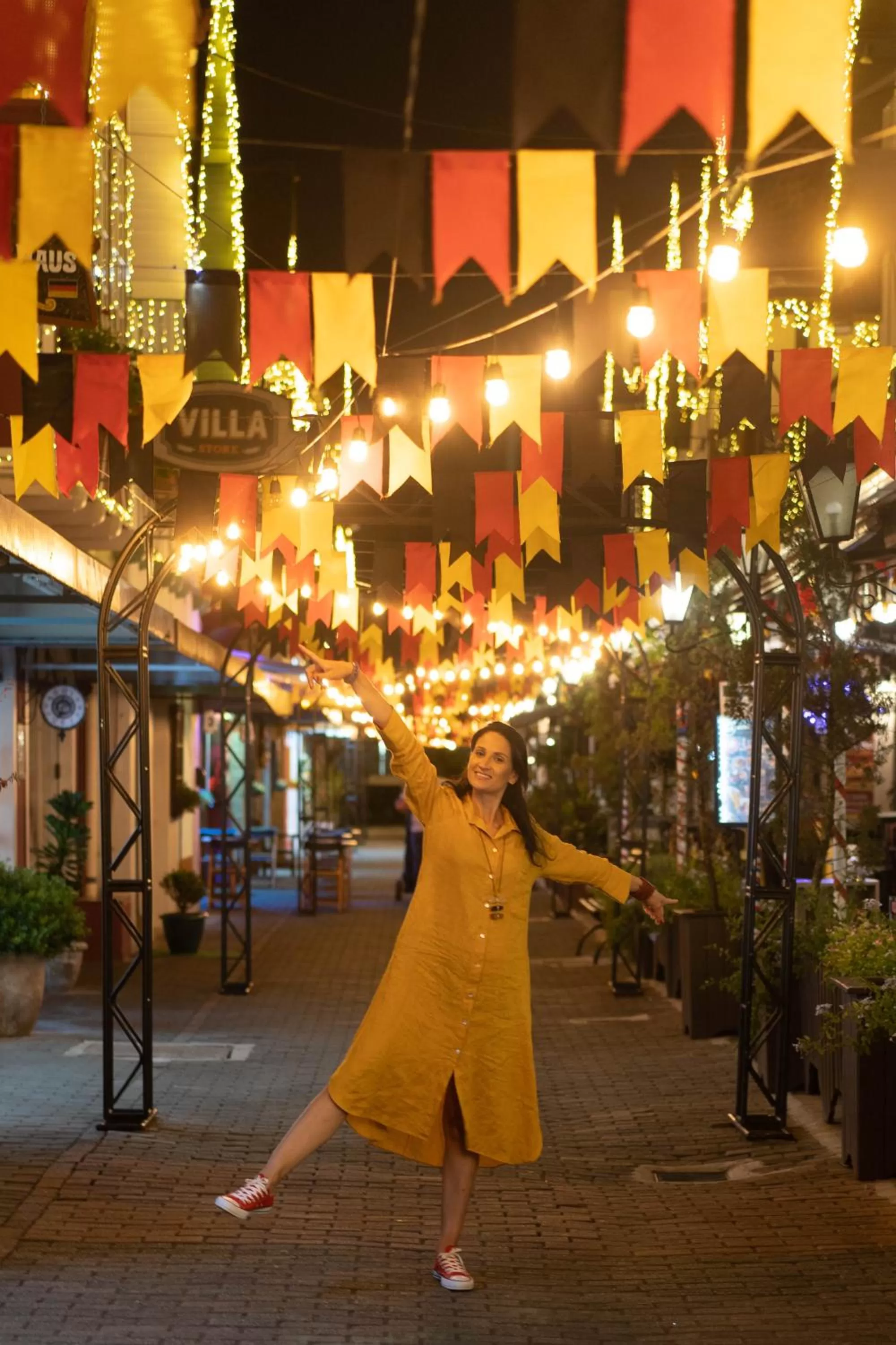 City view in Plaza Blumenau Hotel