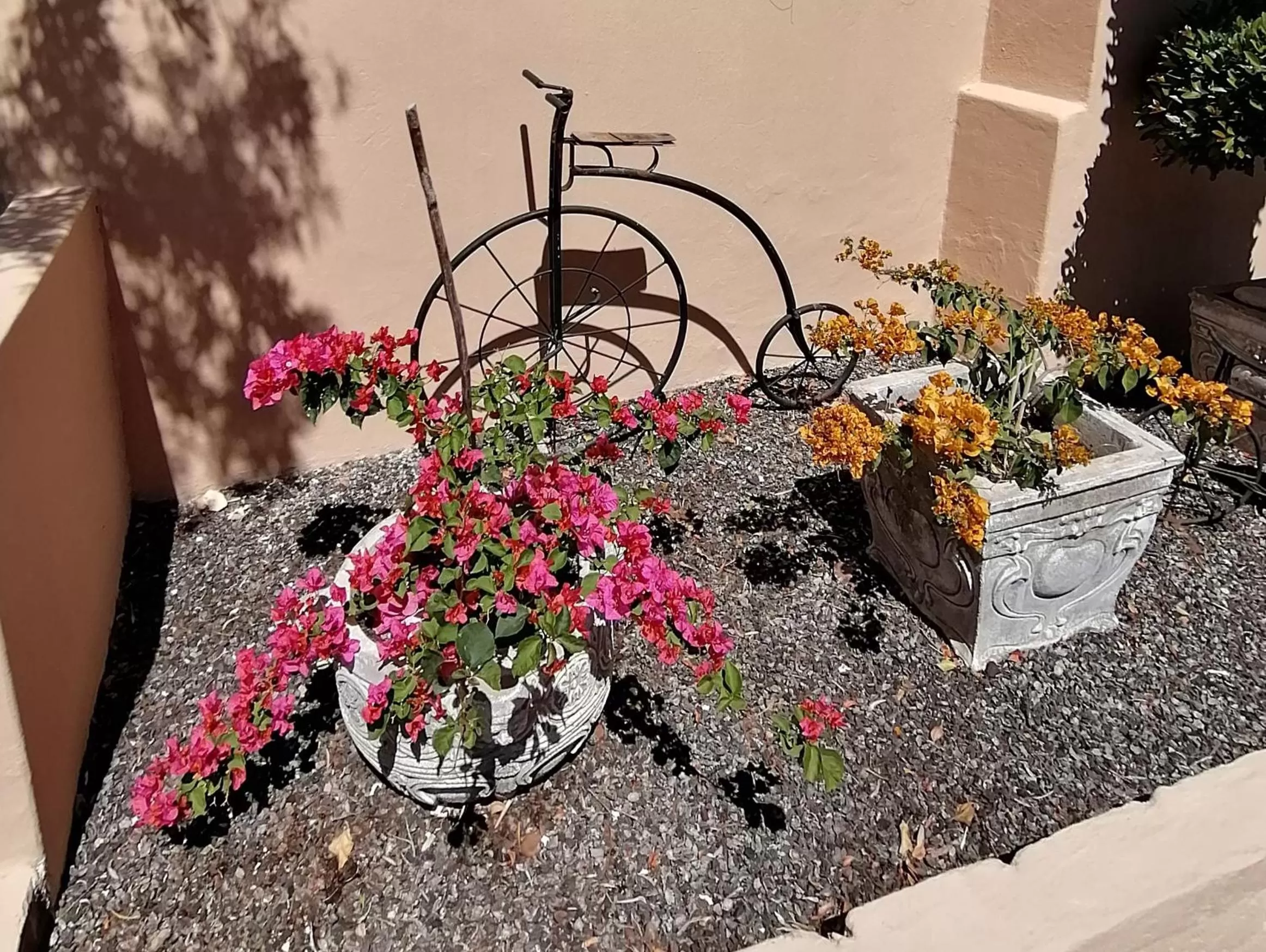 Garden in Squirrels Corner