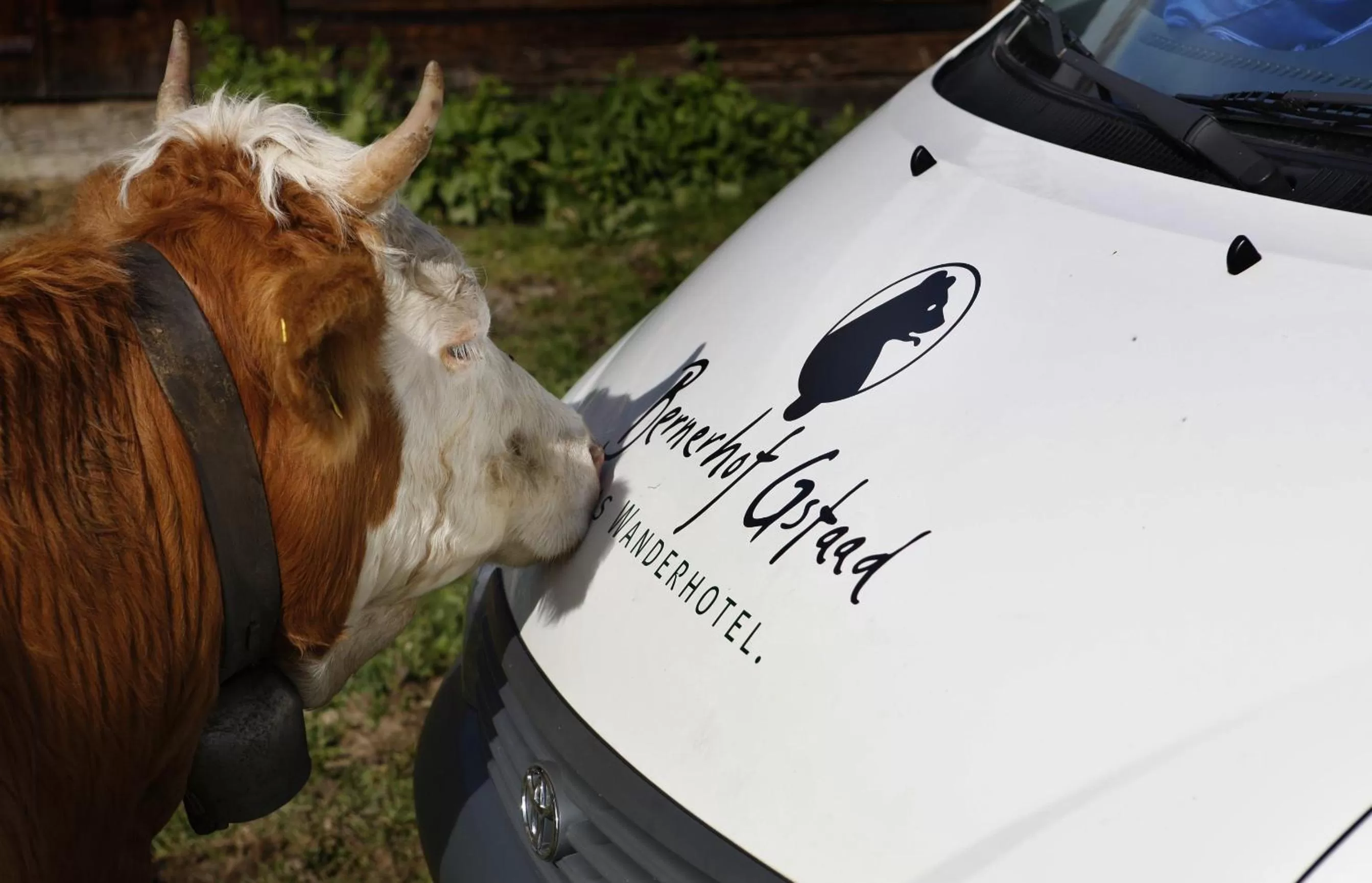 Natural landscape in Bernerhof Swiss Quality Hotel Gstaad