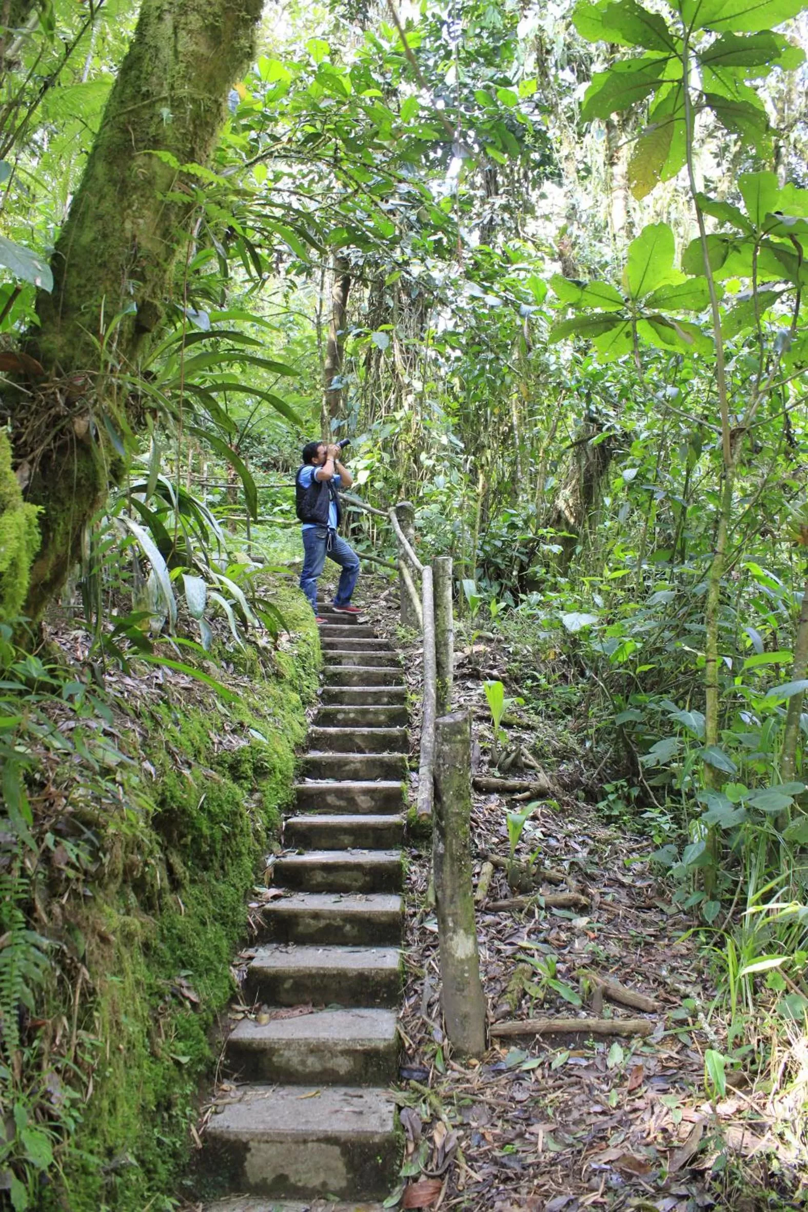 Area and facilities in Estelar Recinto Del Pensamiento Hotel Y Centro De Convenciones