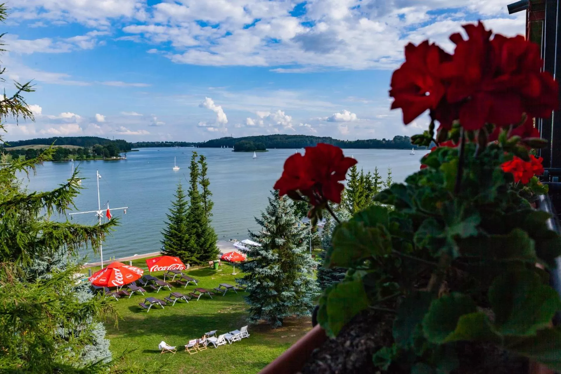 Natural landscape in Willa Port