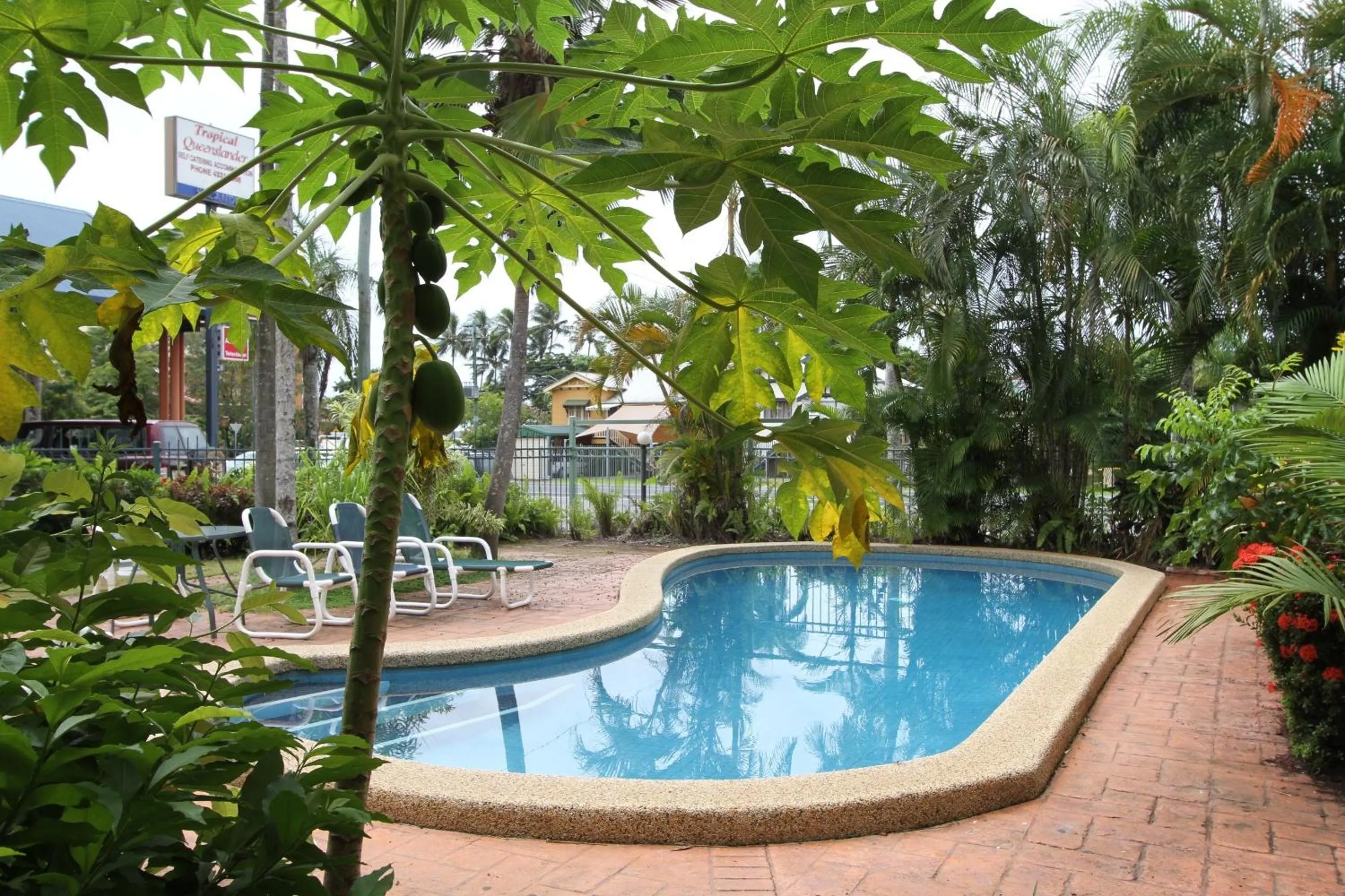 Swimming pool in Tropical Queenslander