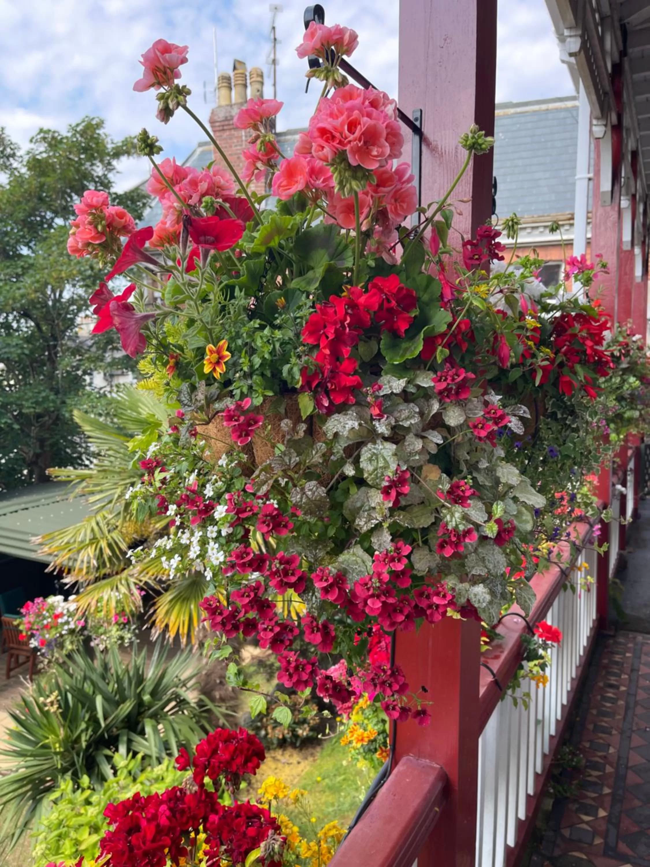 Garden, Balcony/Terrace in The Robin Hill