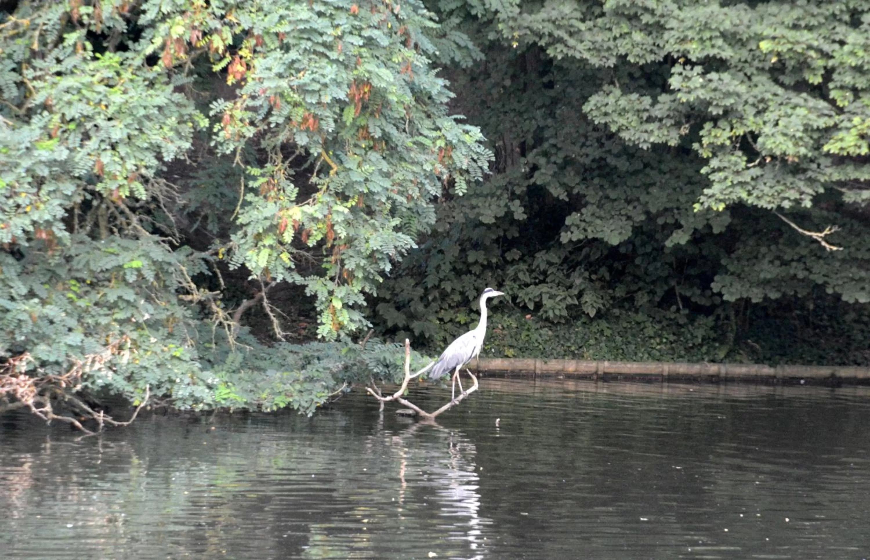 Nearby landmark in Haras des Chartreux