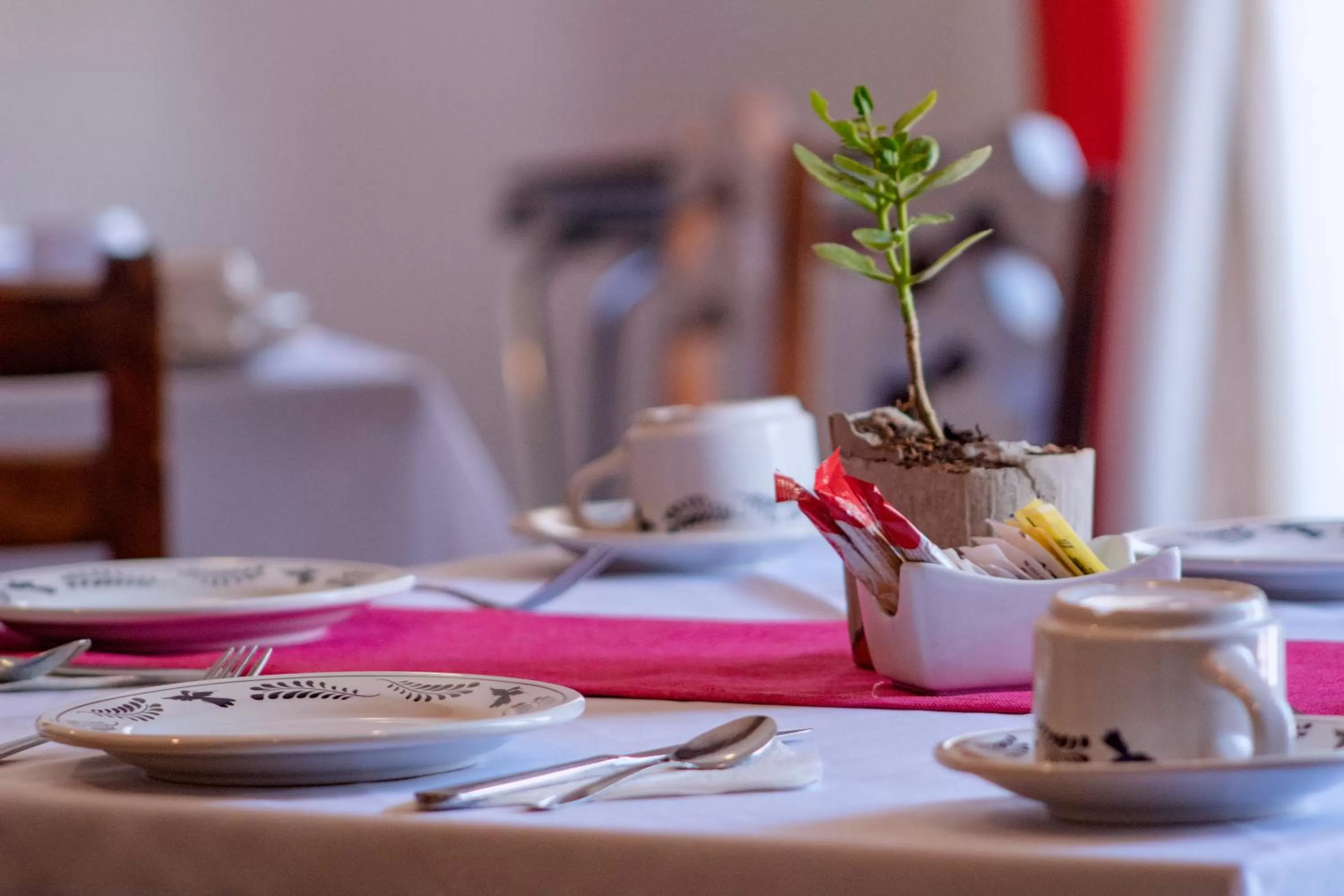 Restaurant/places to eat in Hotel La Casona 30