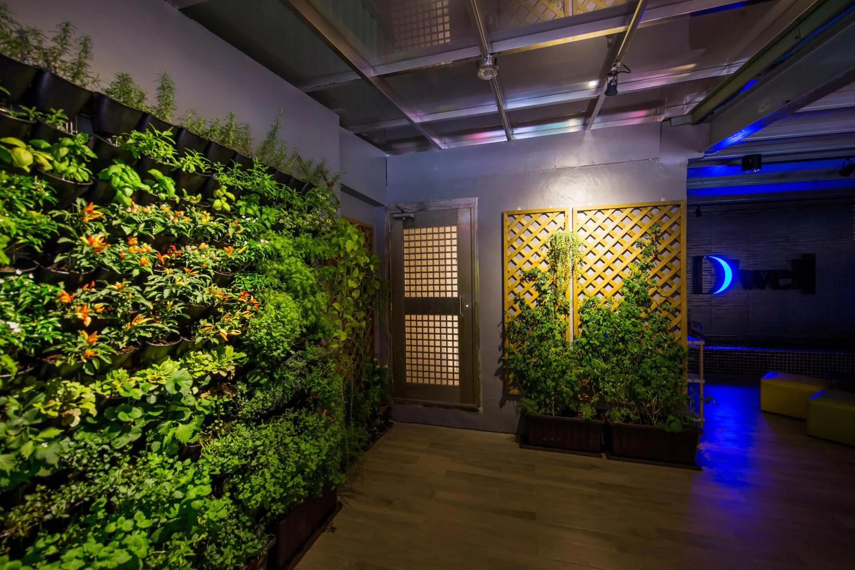 Communal lounge/ TV room in D'Well Hostel