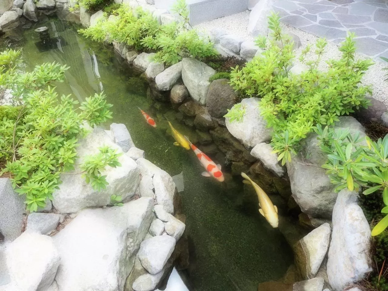 Natural landscape in Yukinohana