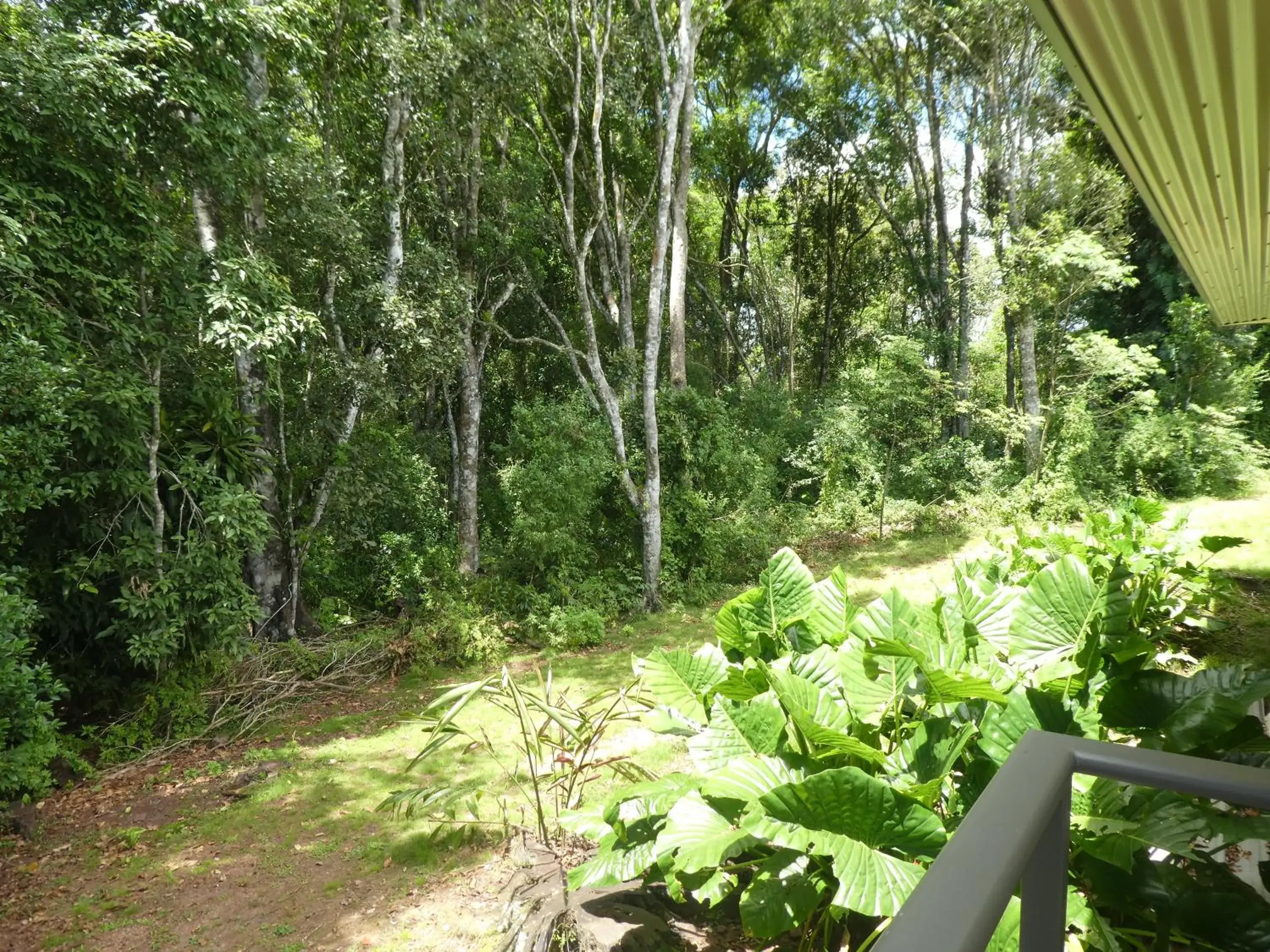 Two-Bedroom Apartment in The Summit Rainforest Retreat Two-Bedroom Apartment in The Summit Rainforest Retreat