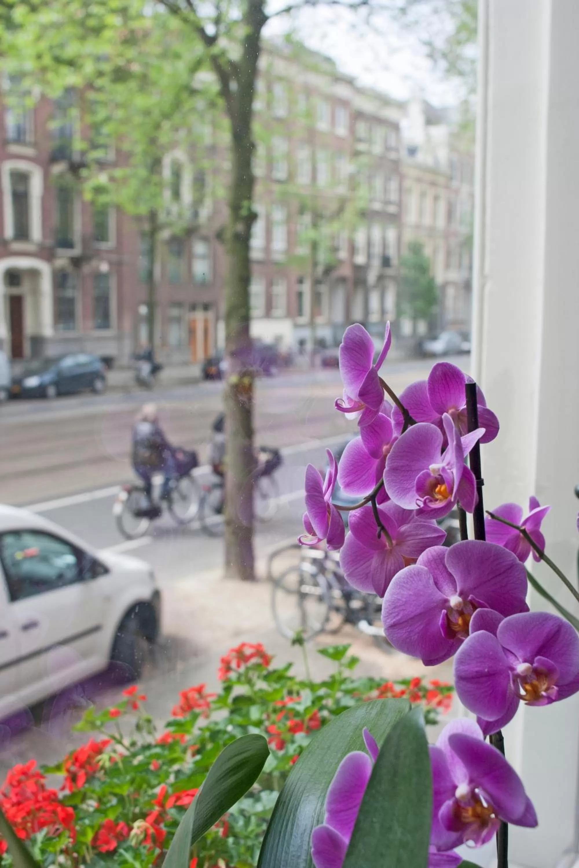 View (from property/room) in Hotel Allure