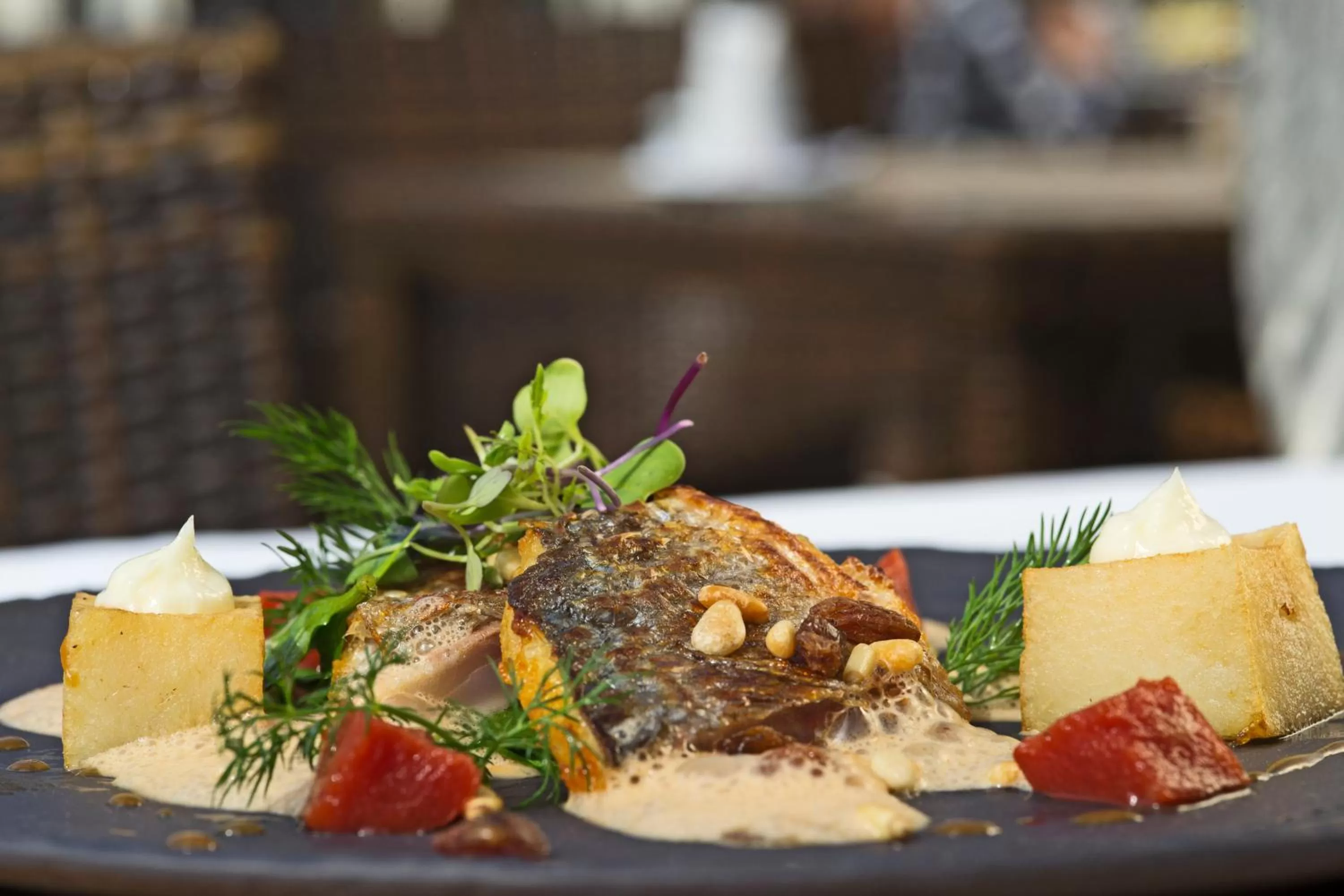 Food close-up in Lindner Hotel Mallorca Portals Nous, part of JdV by Hyatt