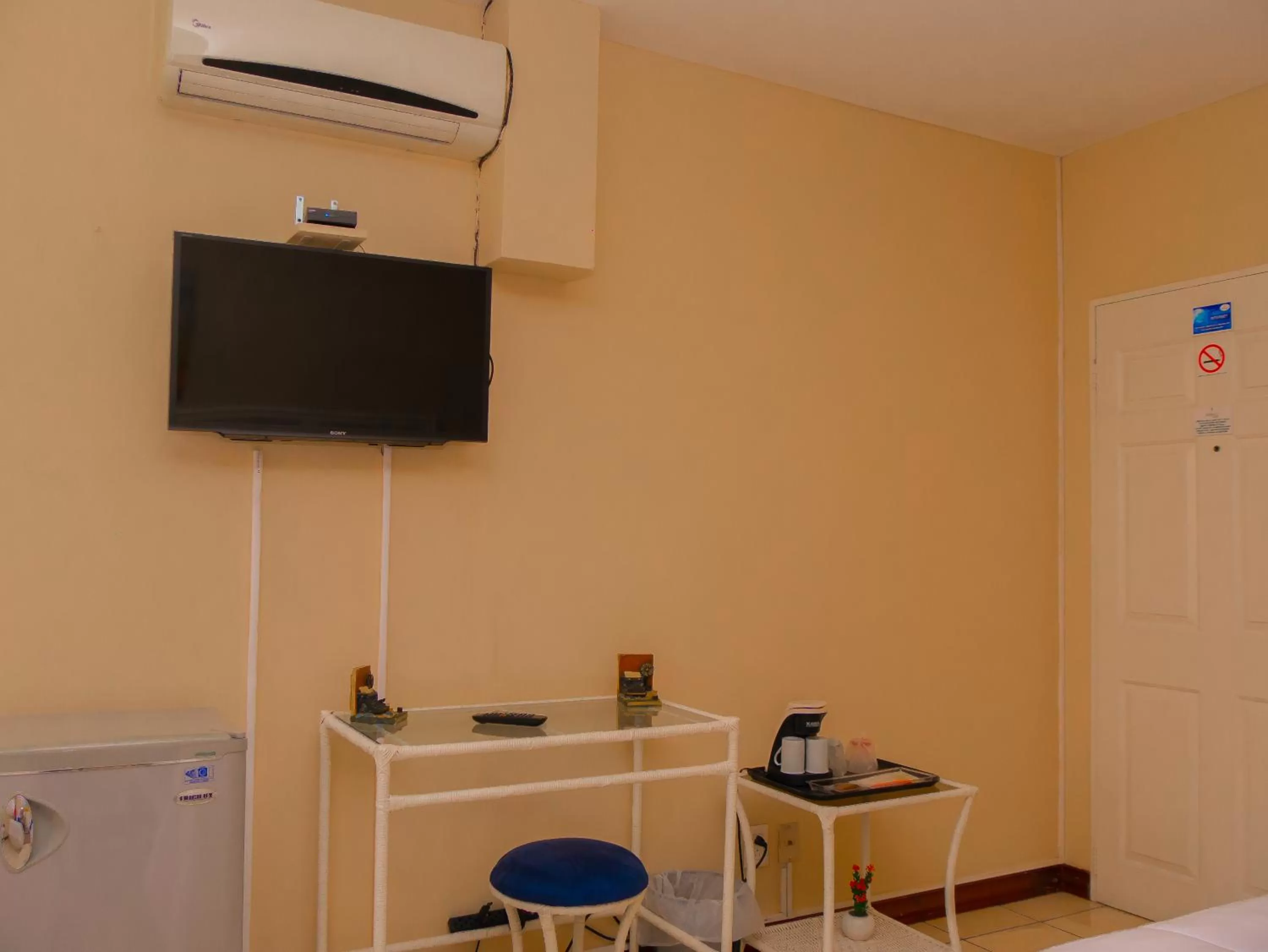 TV and multimedia in Hotel Bamboo Aeropuerto