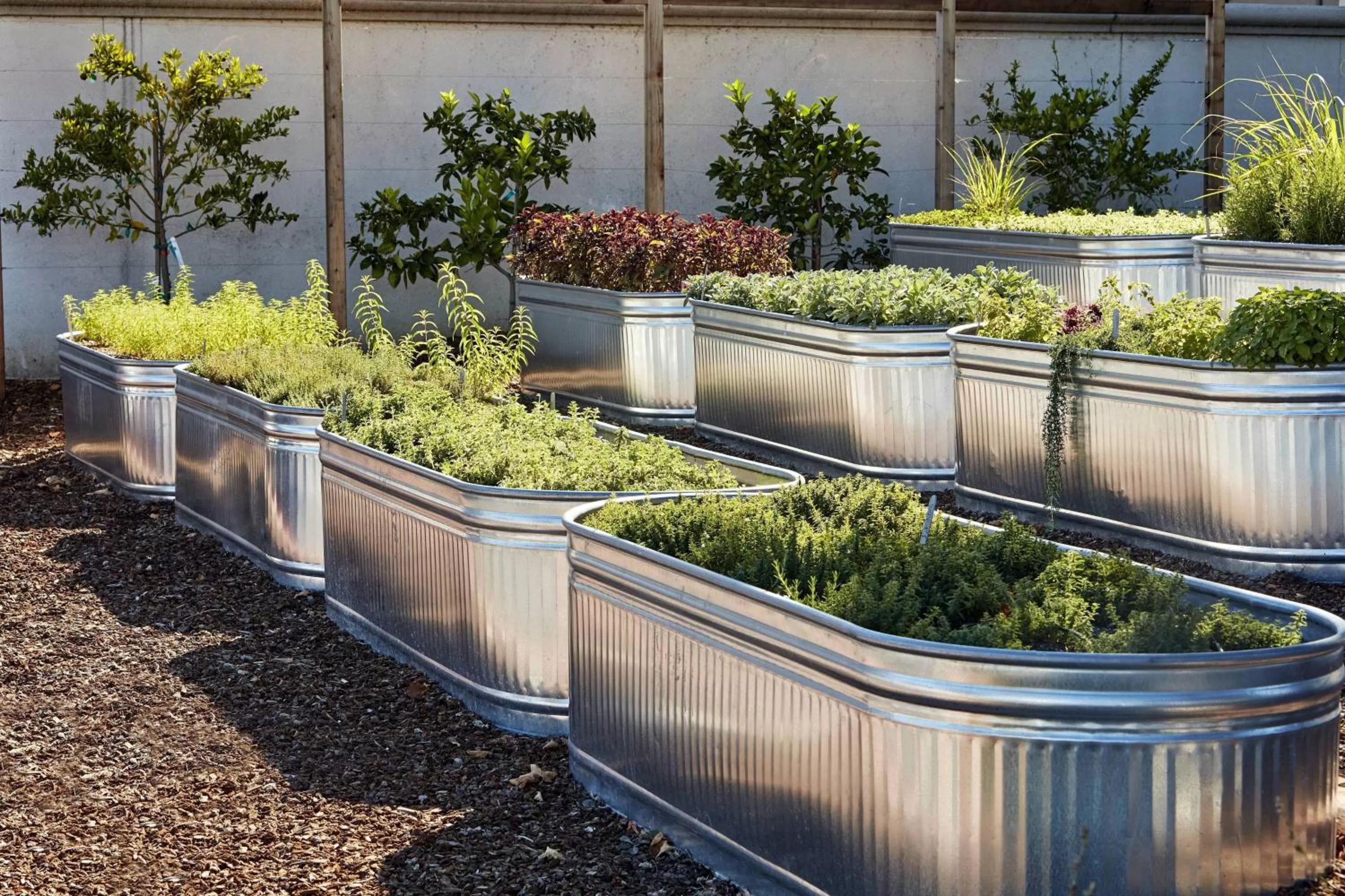 Other in San Mateo Marriott San Francisco Airport