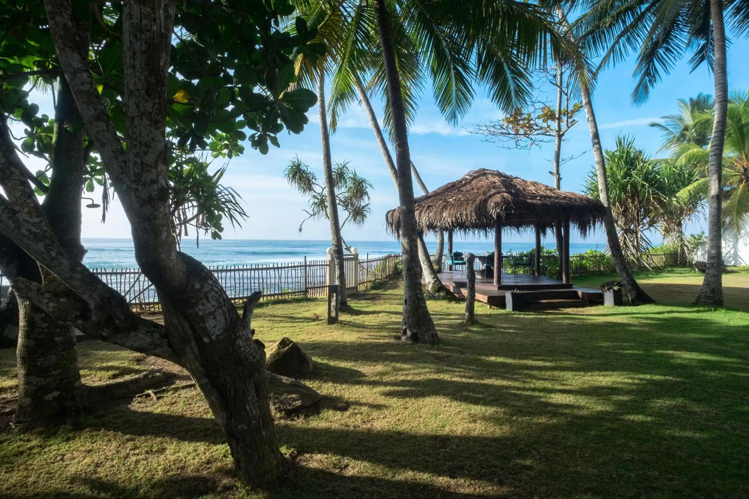 Garden view in Satin Doll