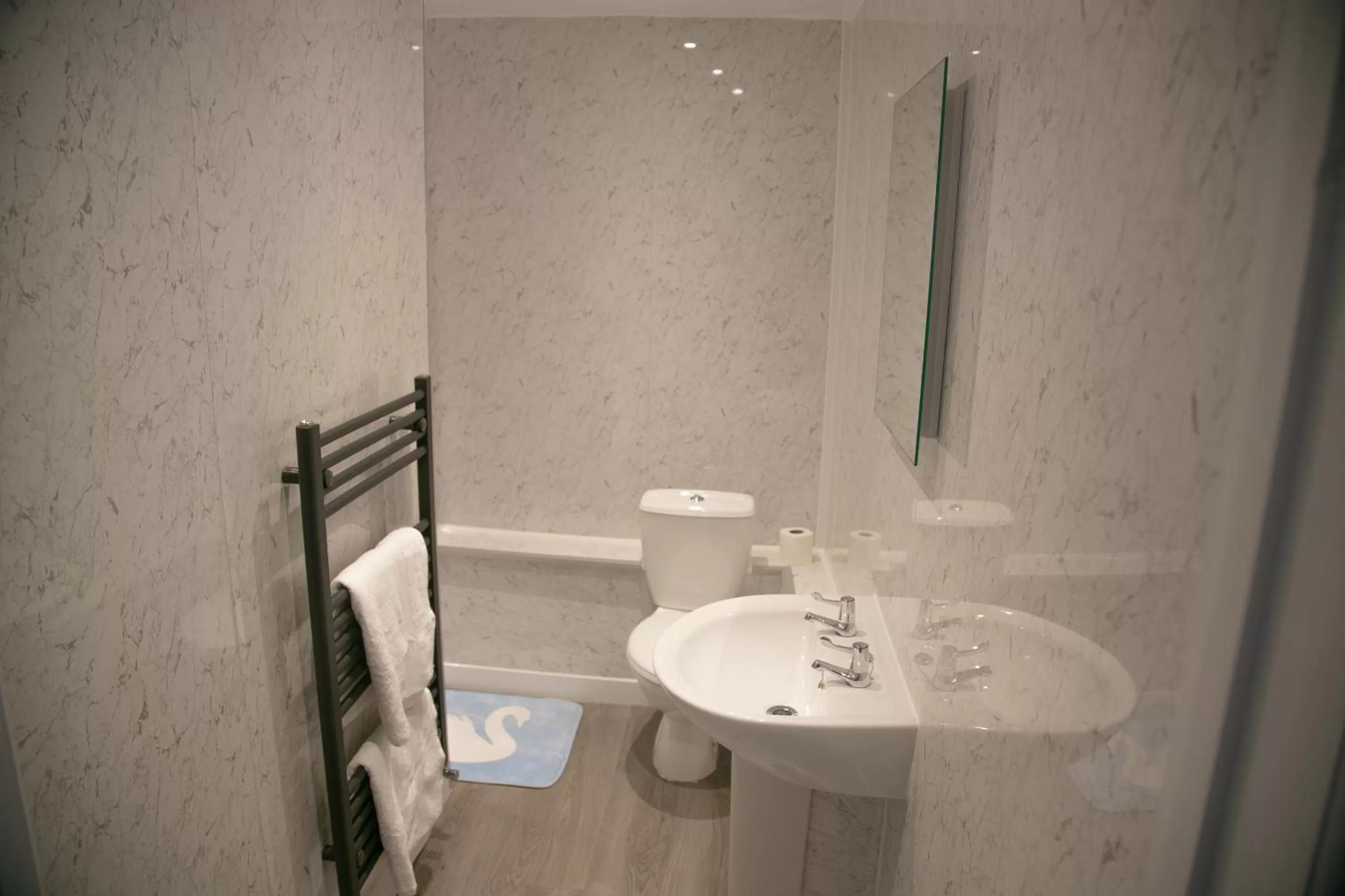 Bathroom in The Swan