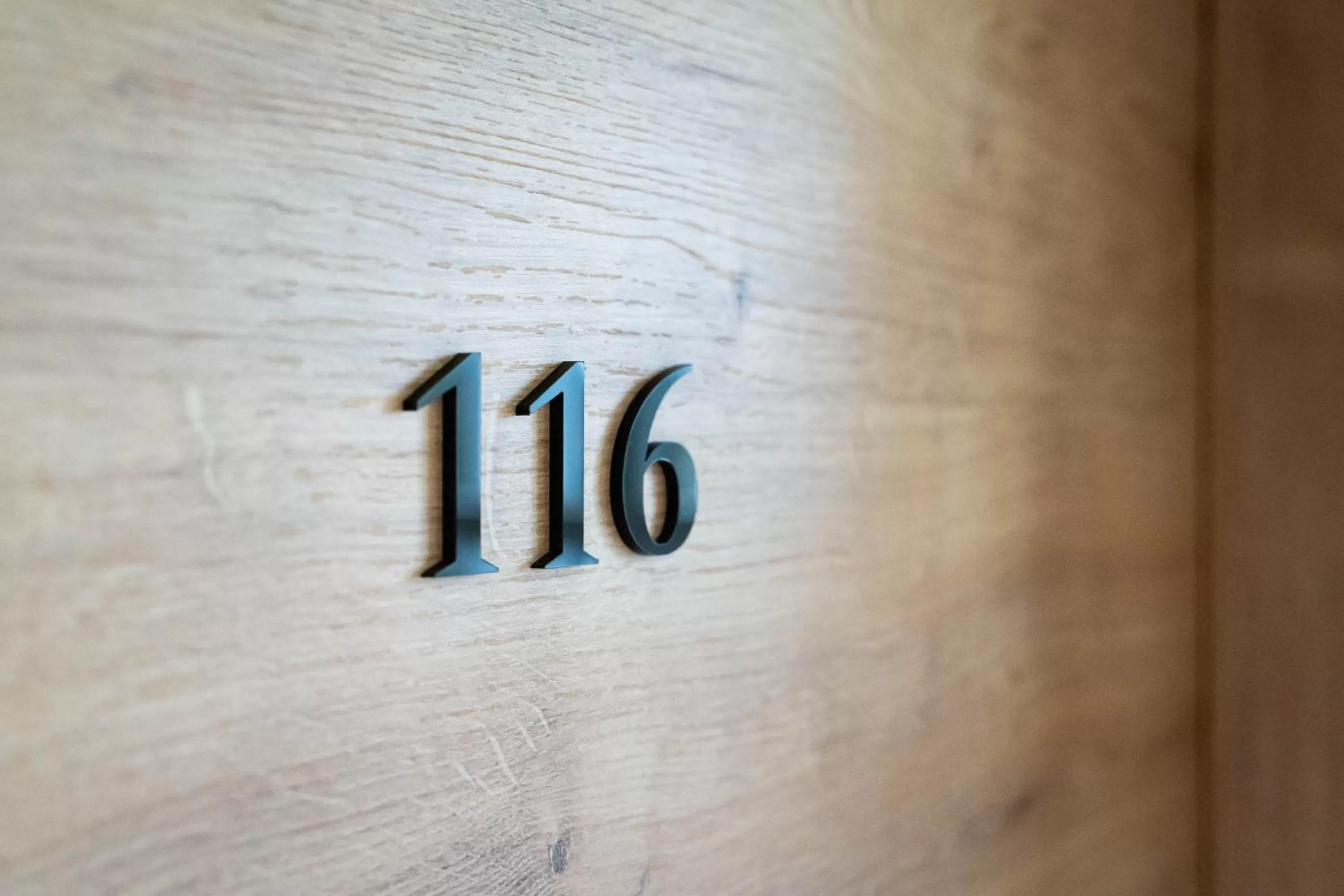 Photo of the whole room in Sopherl am See