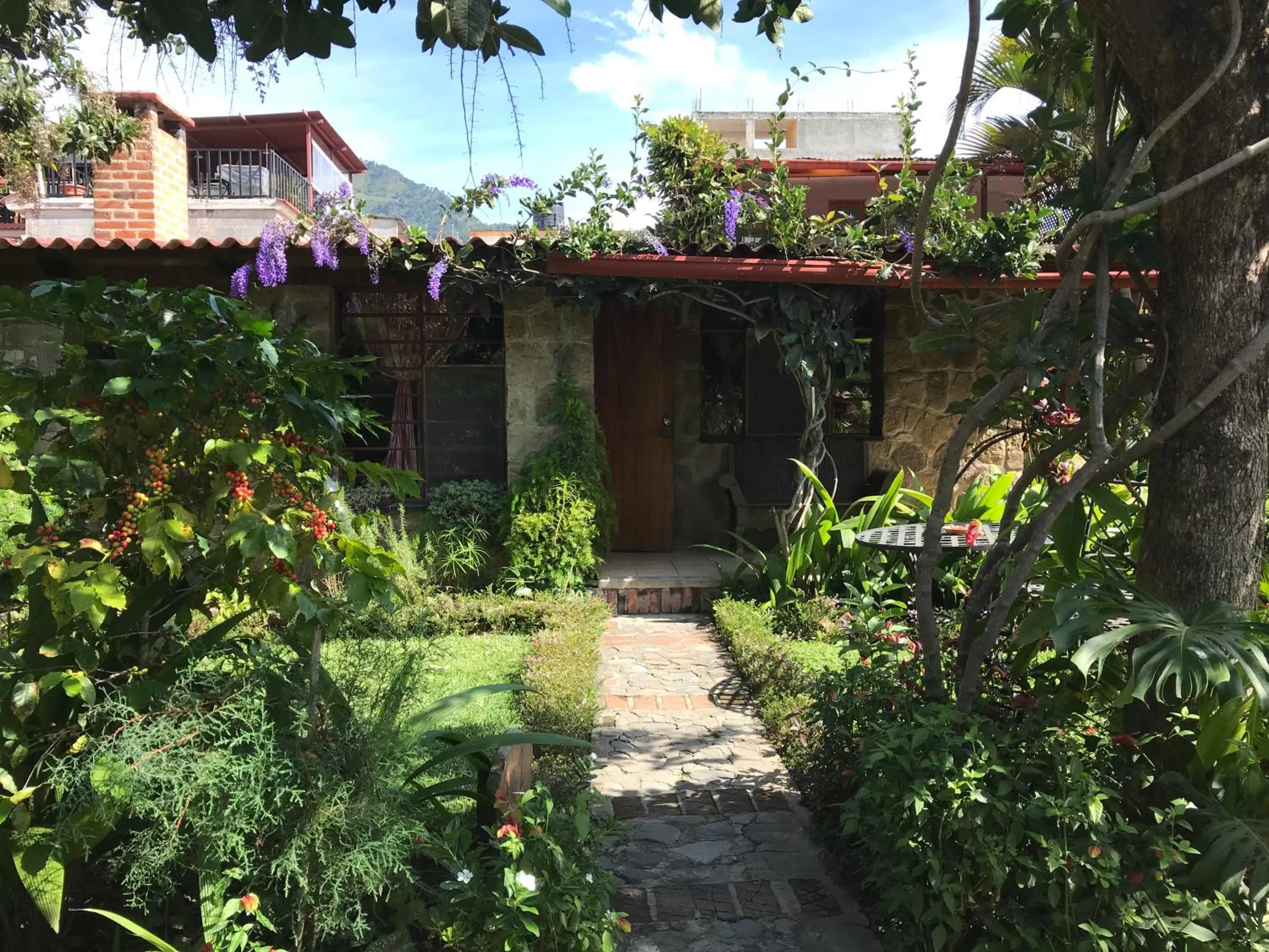 Property building, Garden in Hotel Utz Jay