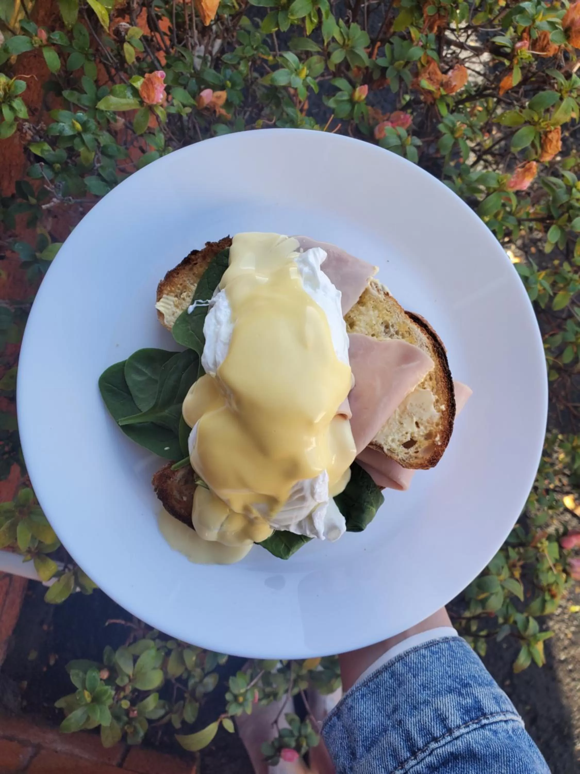 Food and drinks in Roydons Motor Inn