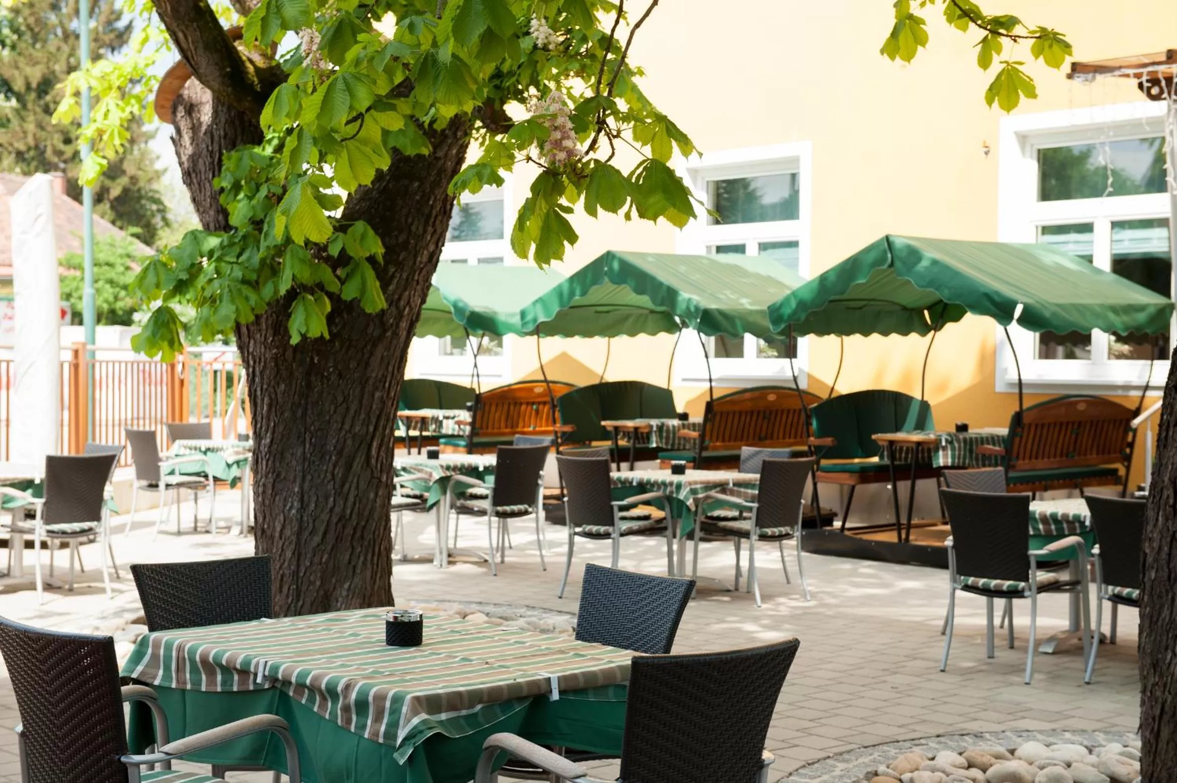 Restaurant/Places to Eat in Hotel Guidassoni