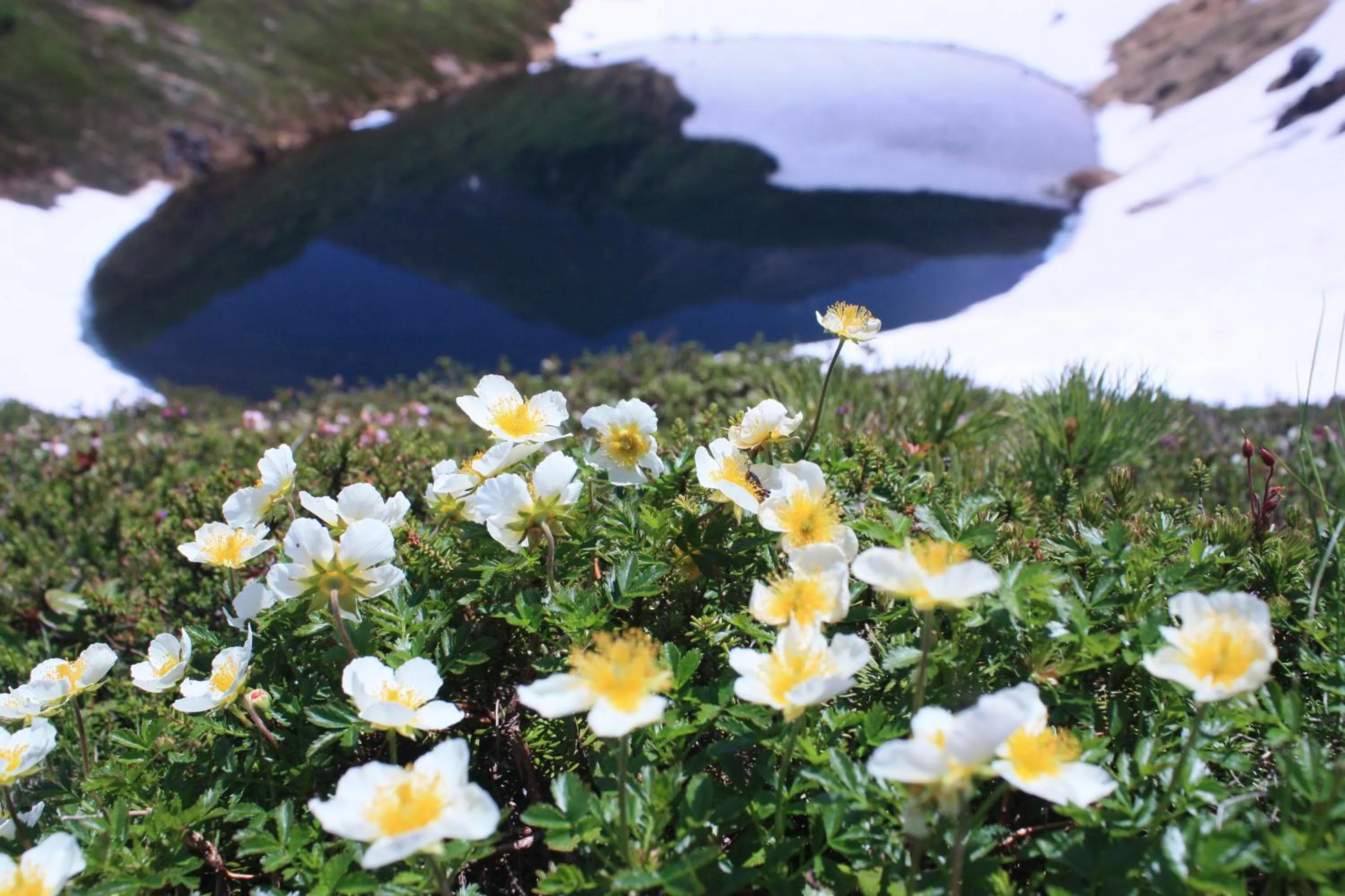 Natural landscape in Higashikawa Asahidake Onsen Hotel Bear Monte