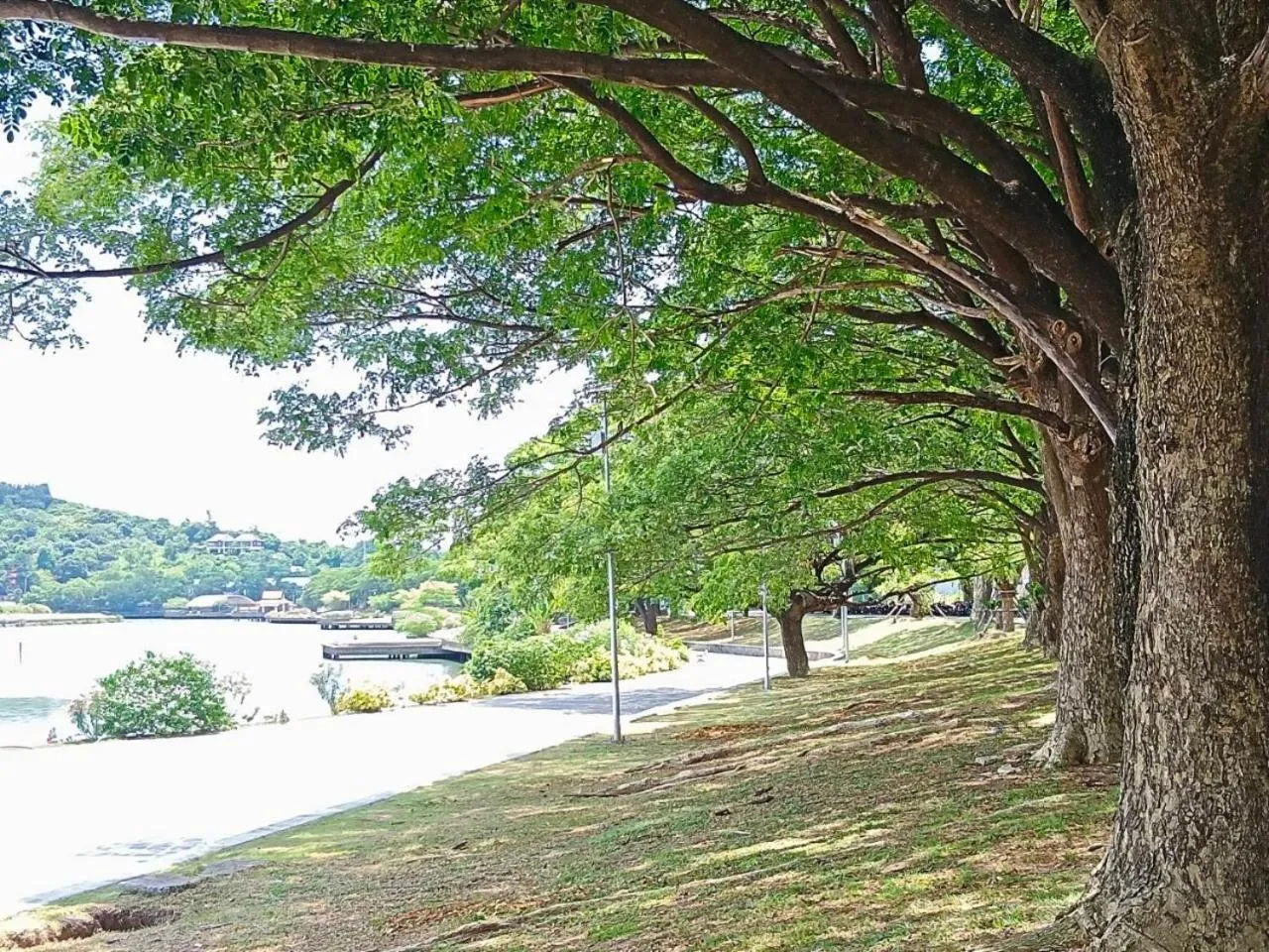 Natural landscape in Fueangfu Villa Chaweng