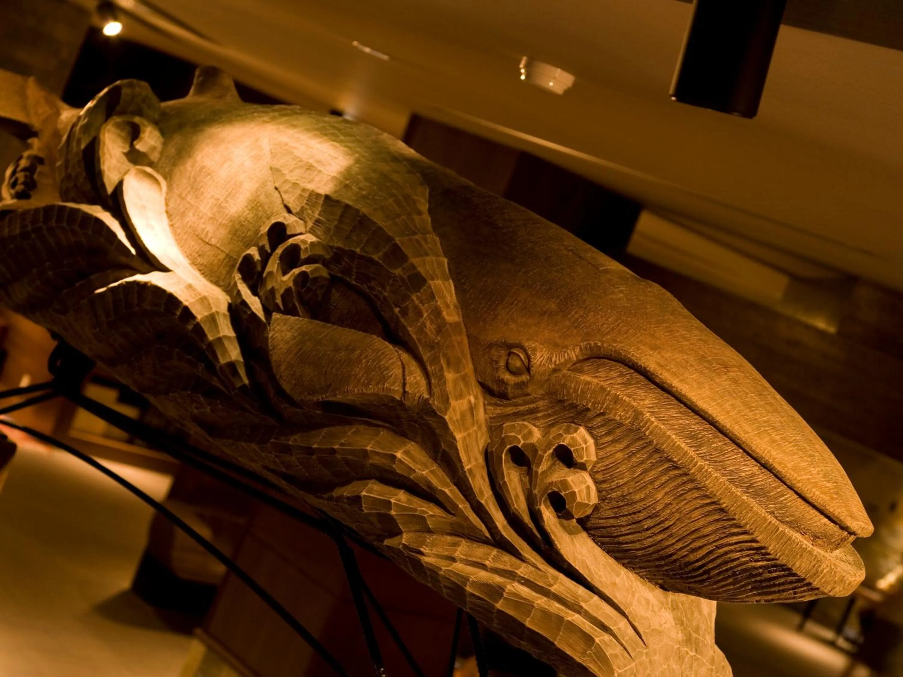 Lounge or bar in Hokuten no Oka Abashiriko Tsuruga Resort