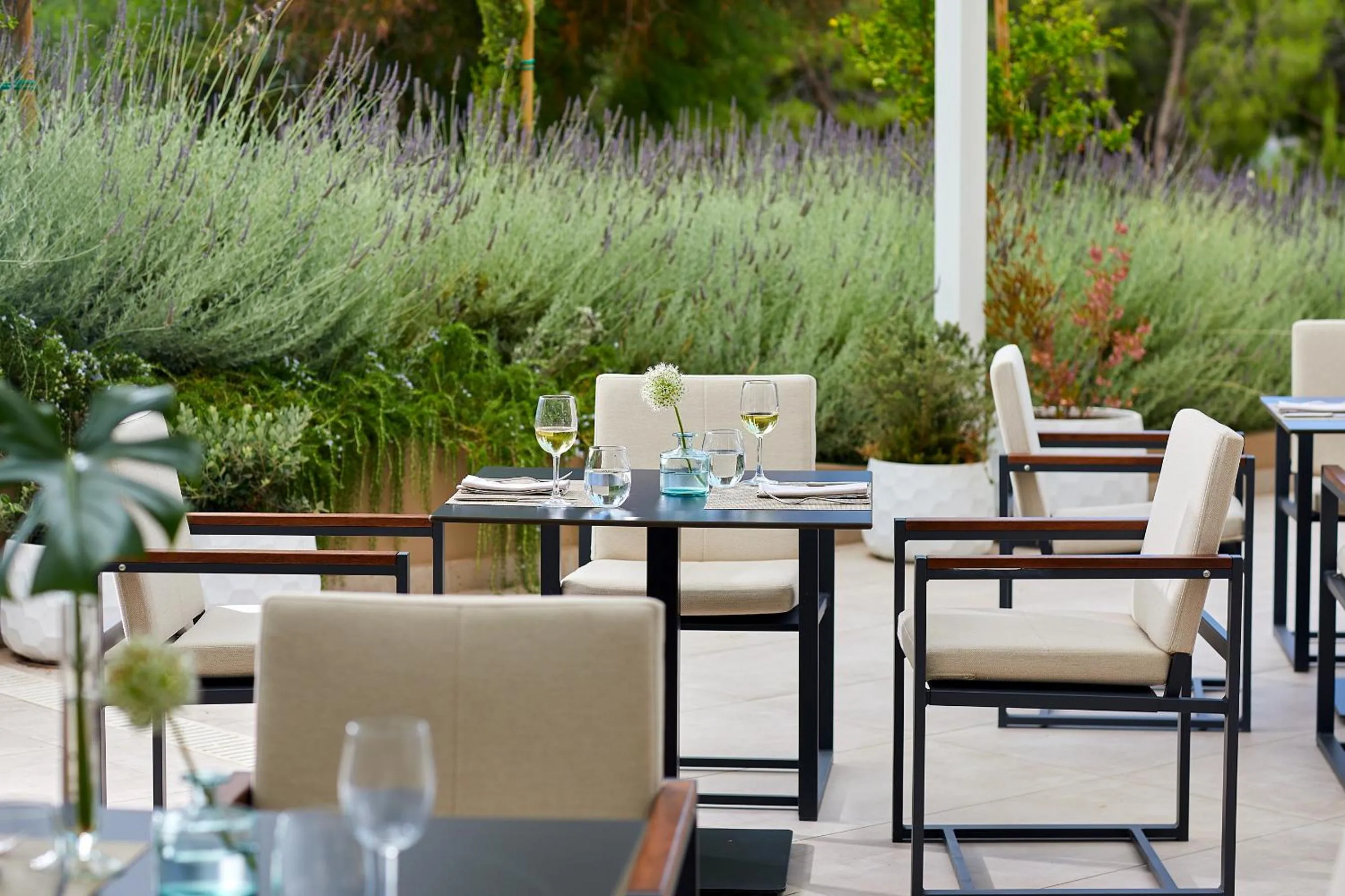 Patio in Vincci EverEden