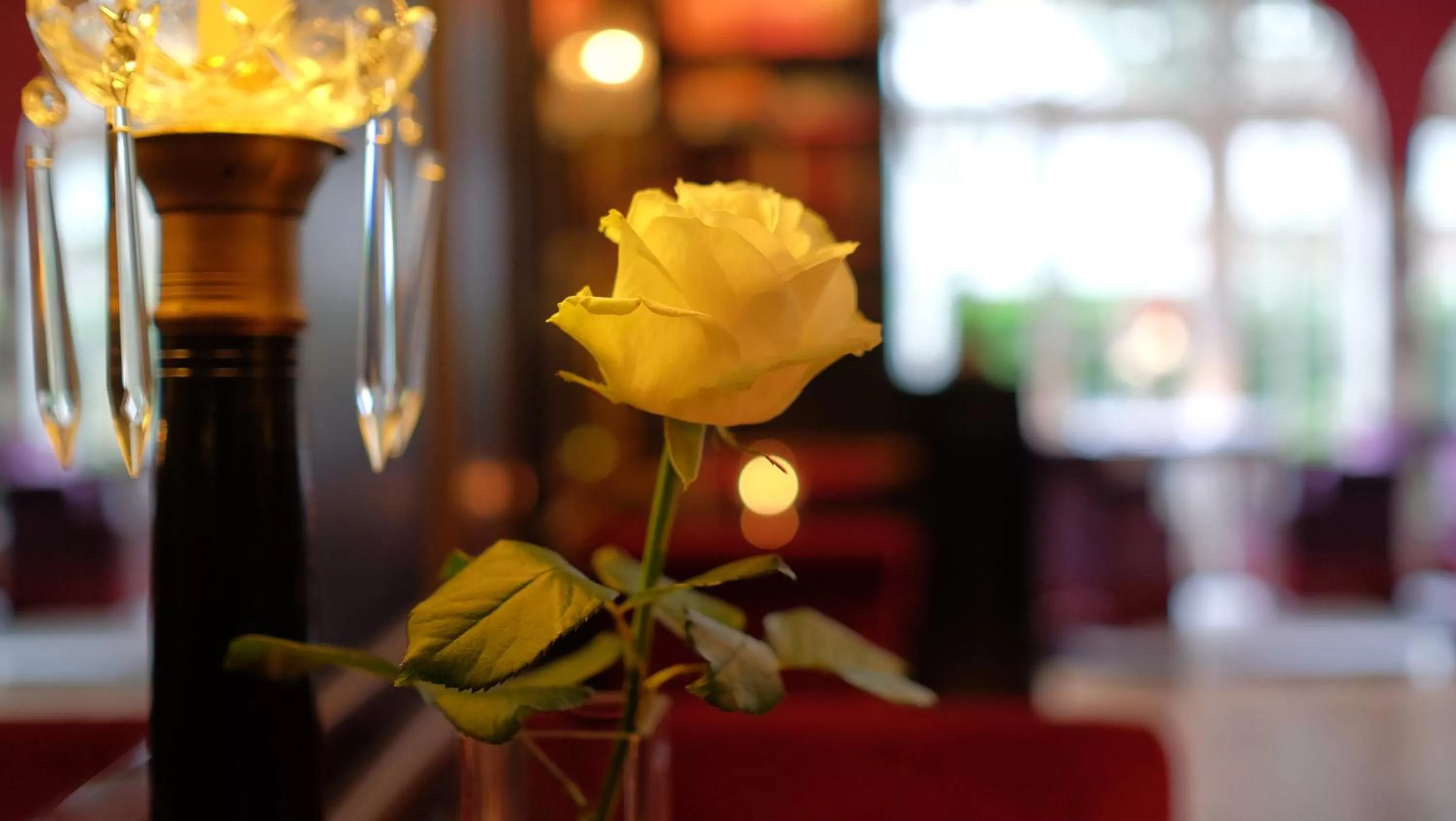 Decorative detail in Apollofirst Boutique Hotel