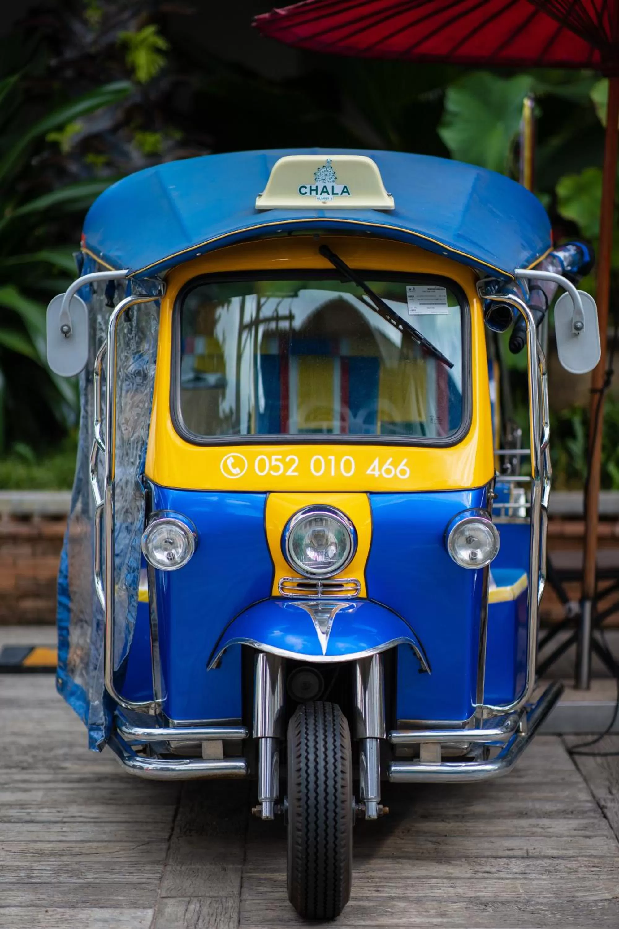 Activities in Chala Number6