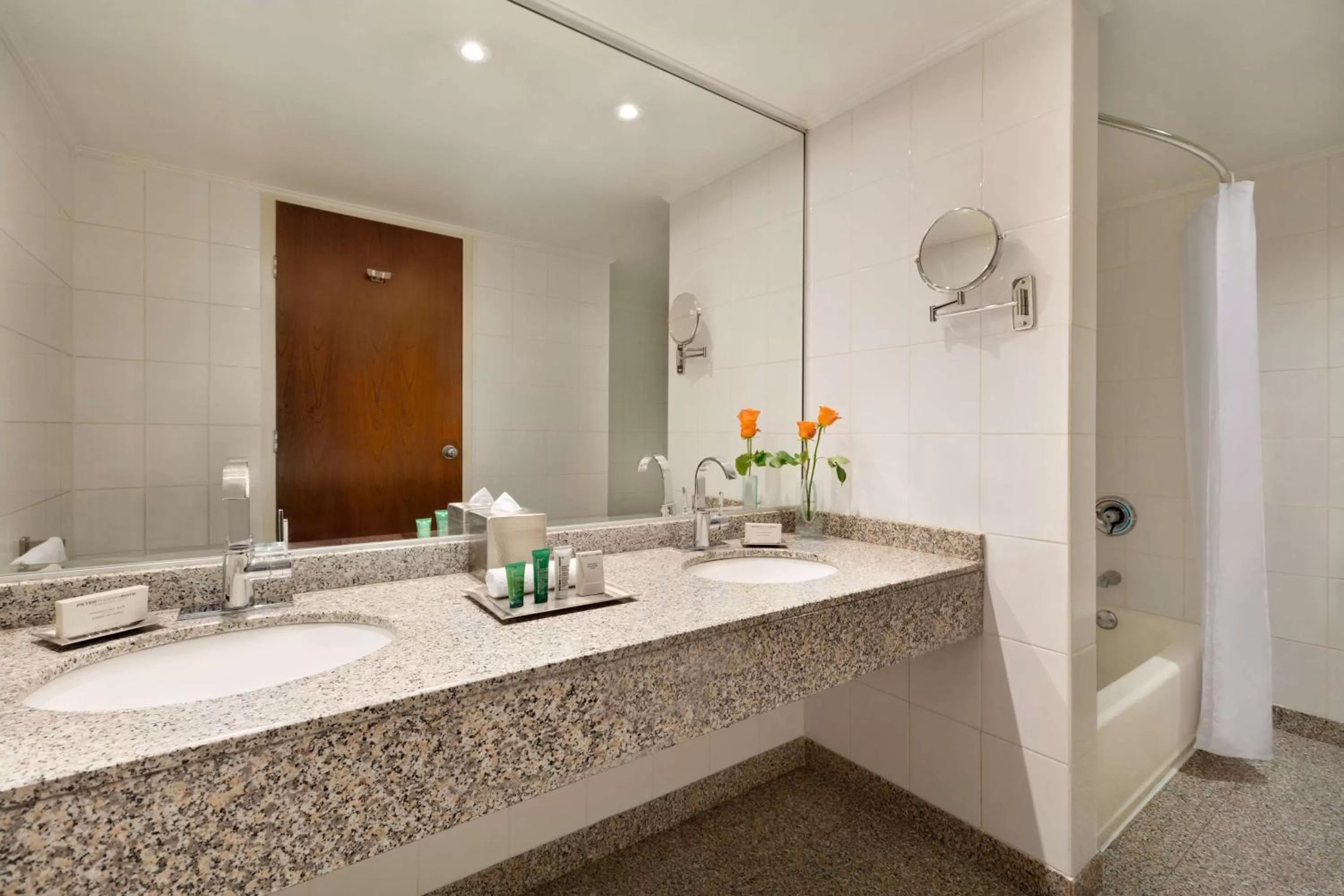 Toilet in Hilton Colon Quito Hotel